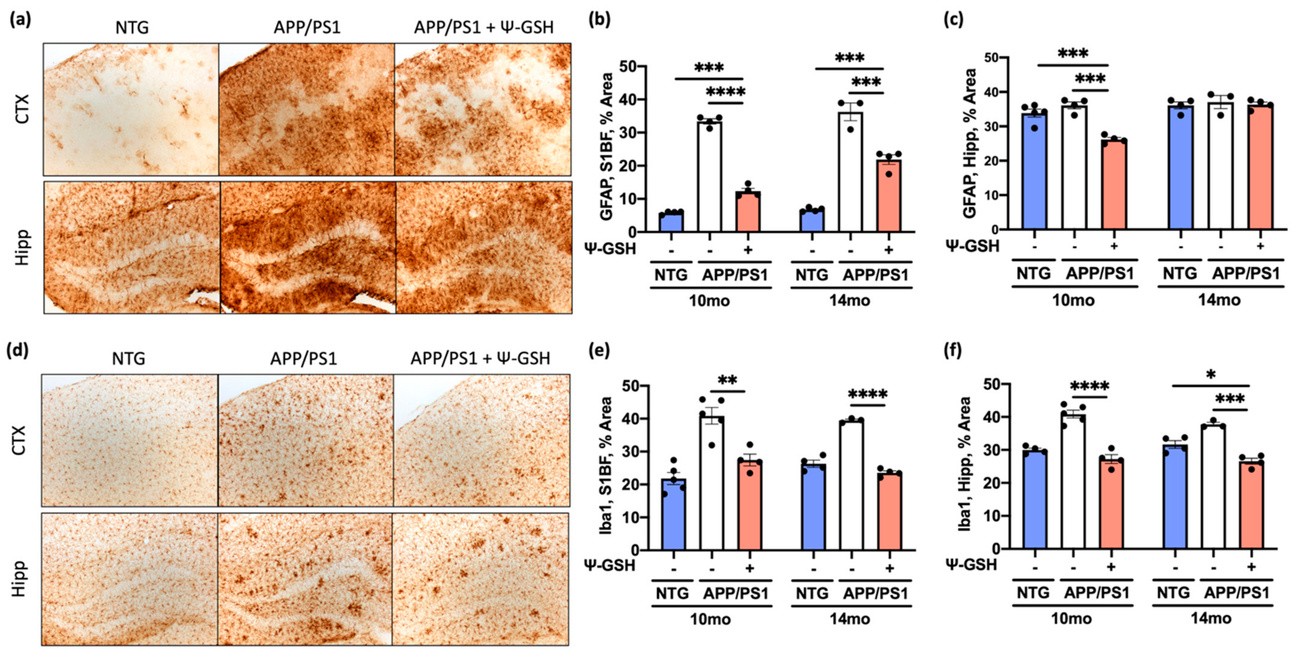 Antioxidants 10 01796 g004 550