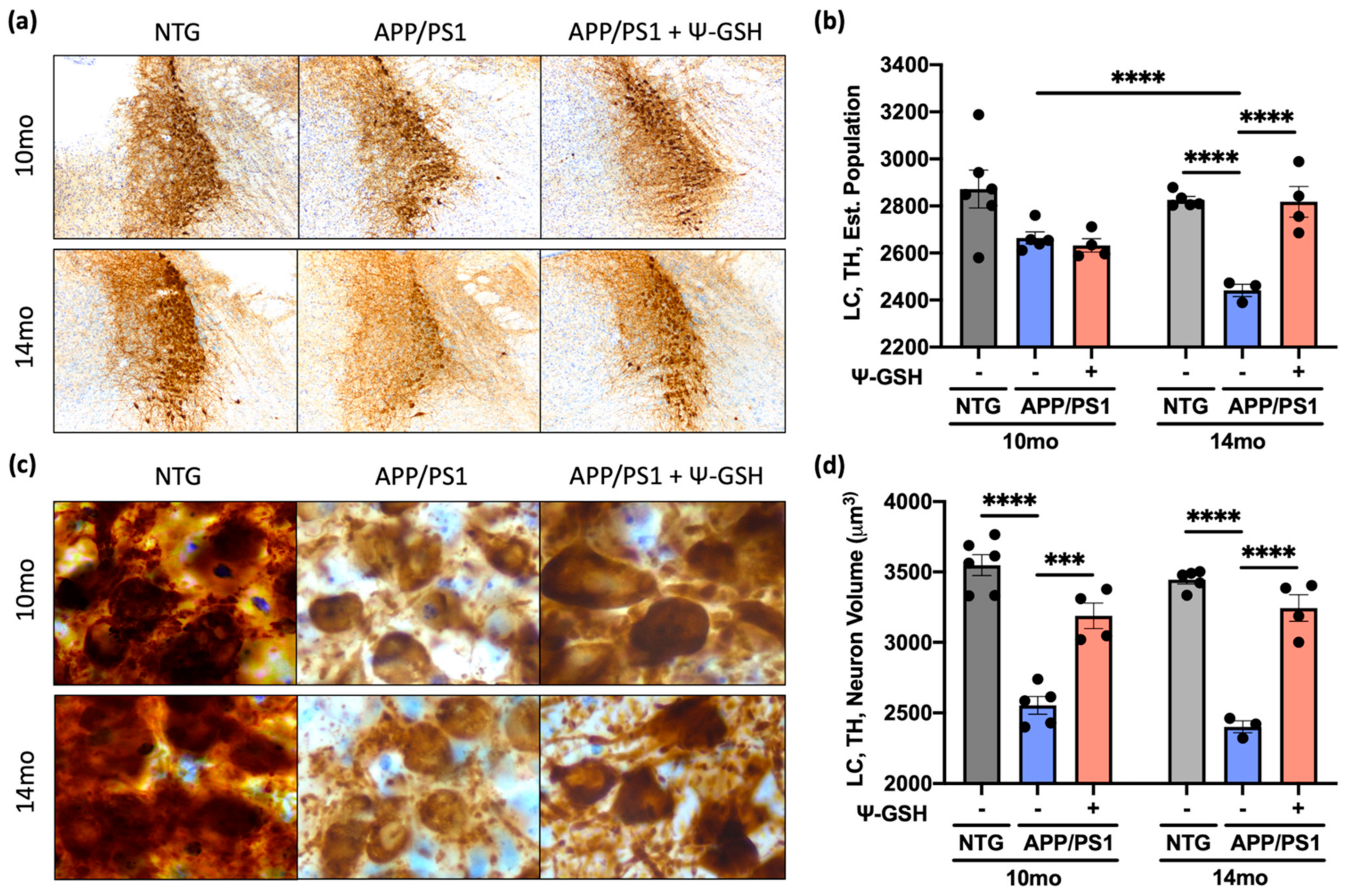 Antioxidants 10 01796 g007 550