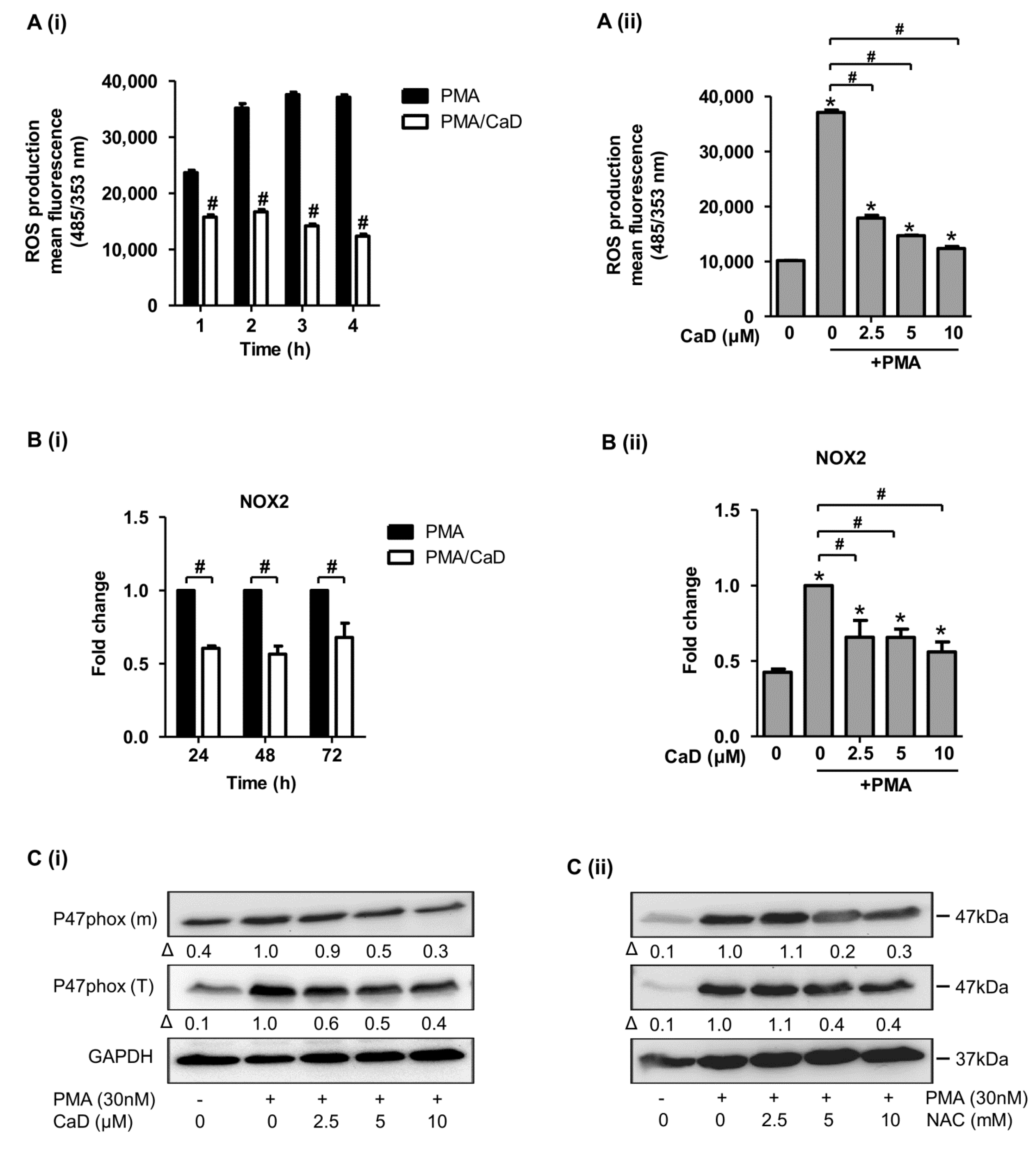 Antioxidants 10 01798 g009 Antioxidants 10 01798 g009