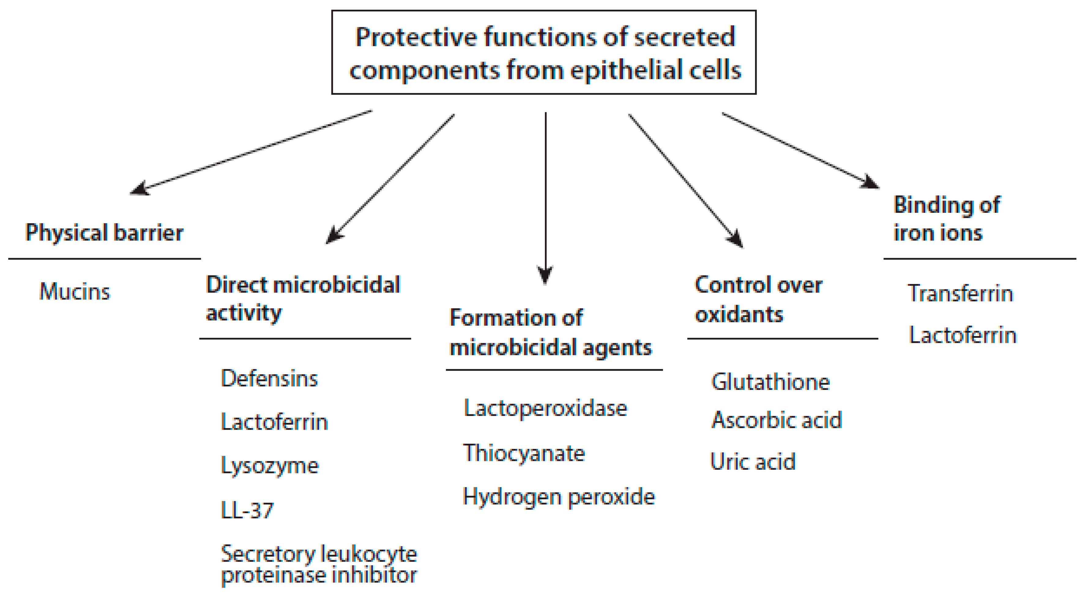 Antioxidants 10 01805 g001