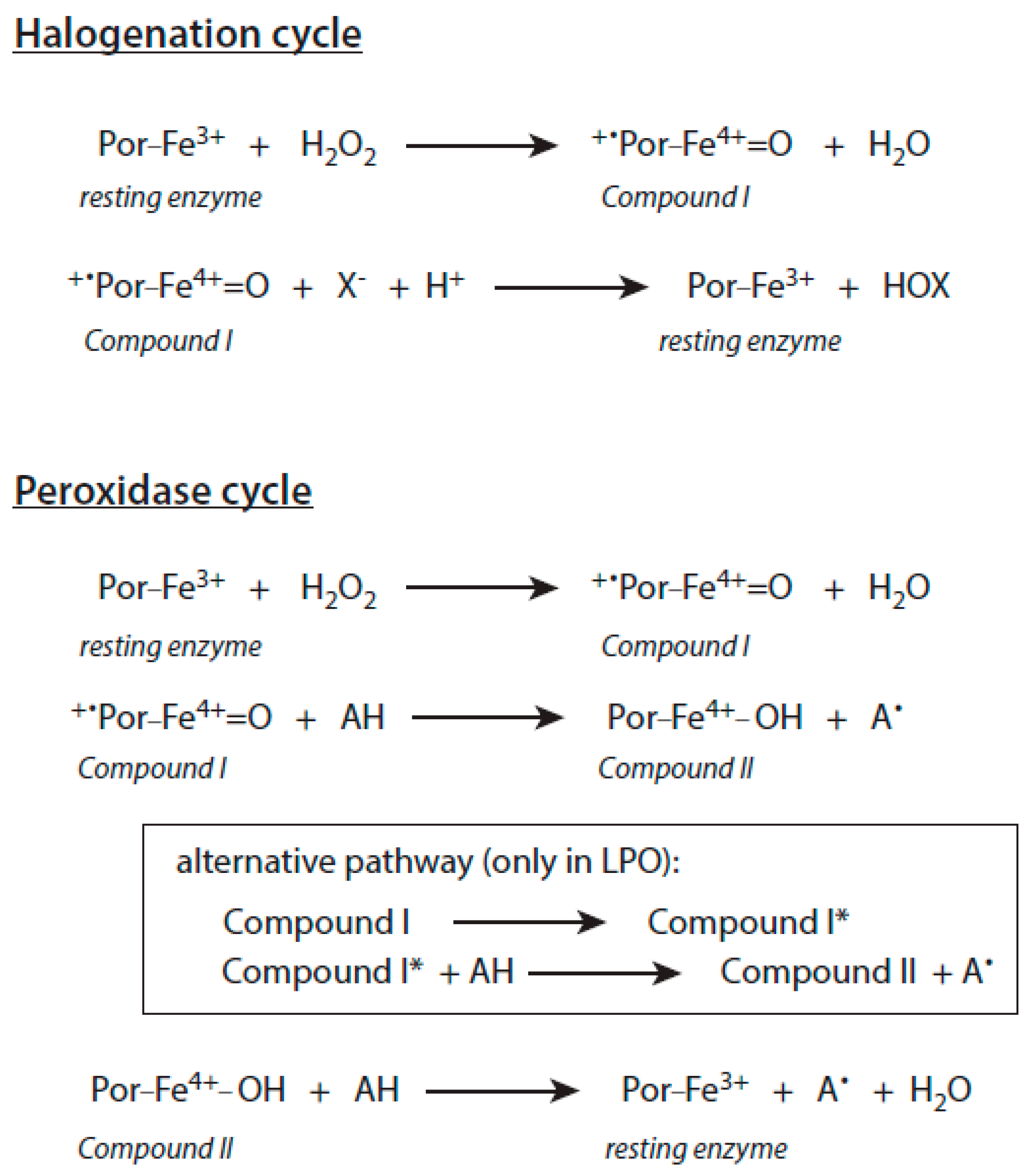 Antioxidants 10 01805 g002