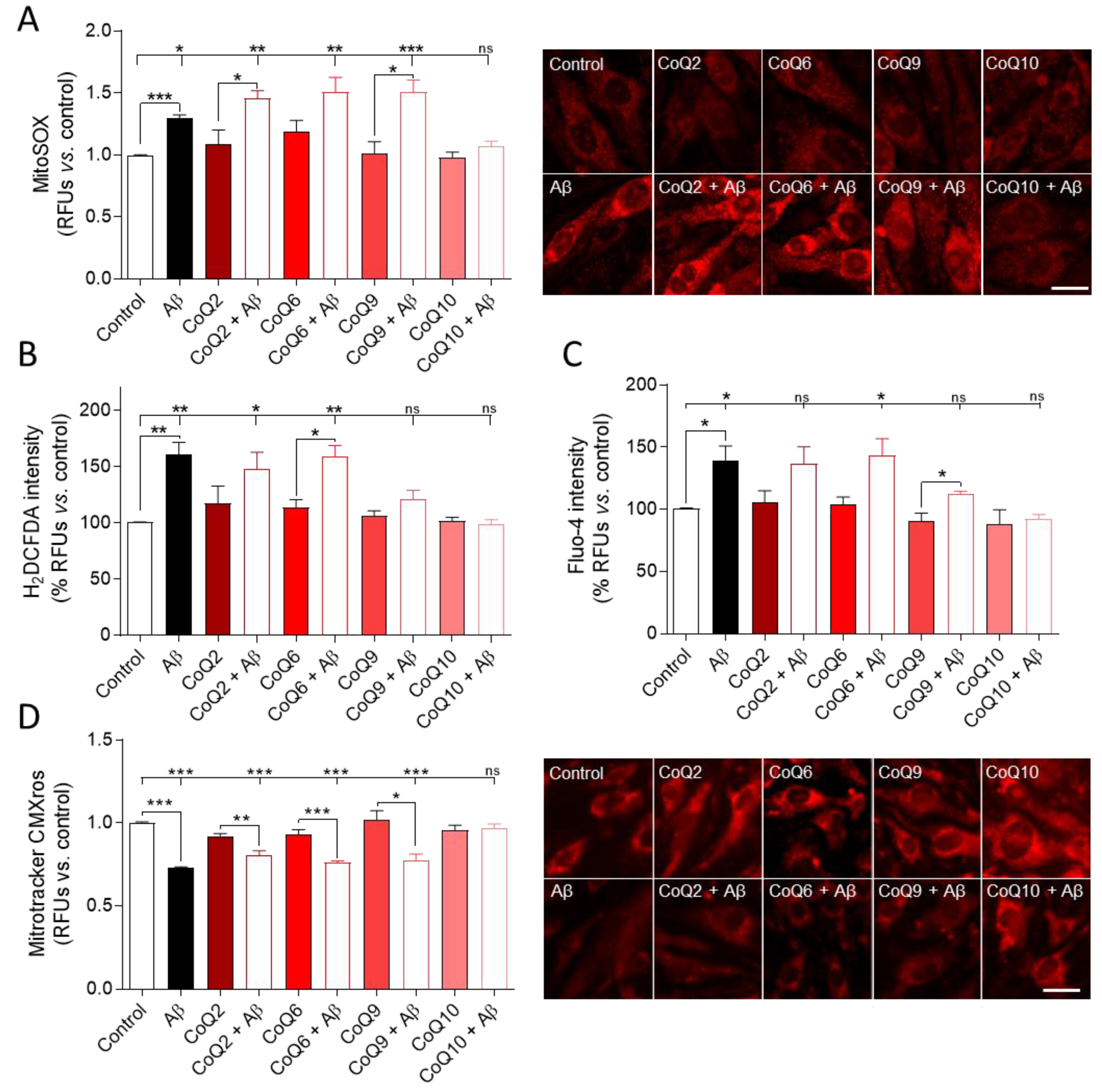 Antioxidants 10 01806 g003