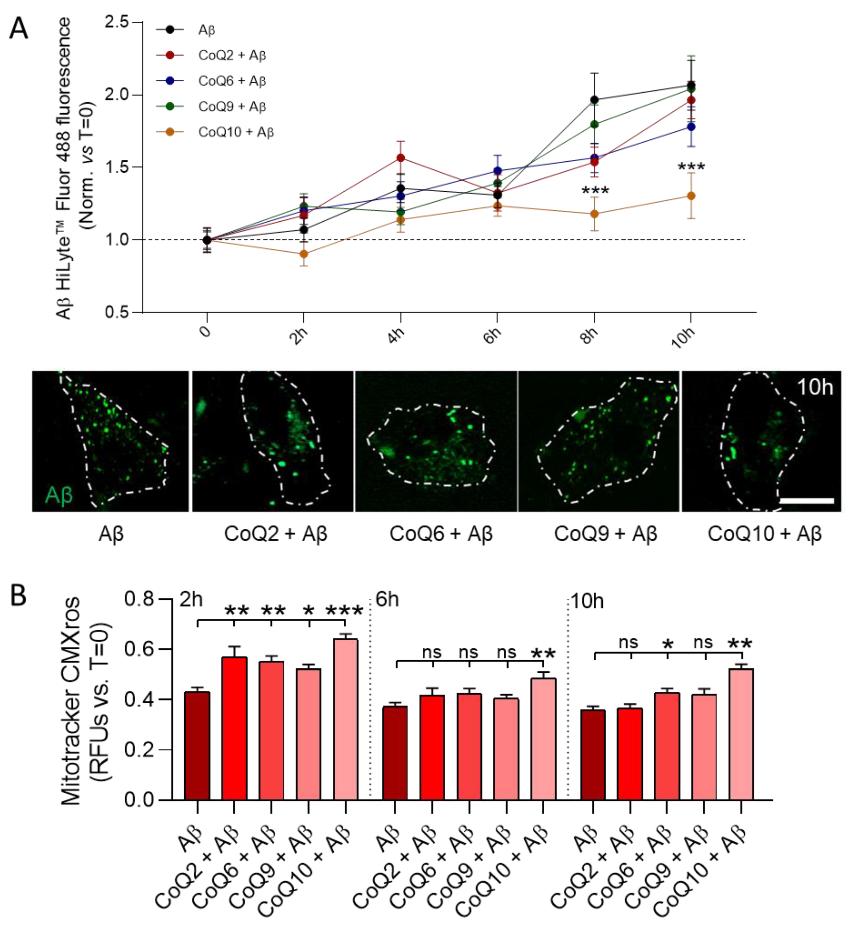 Antioxidants 10 01806 g005