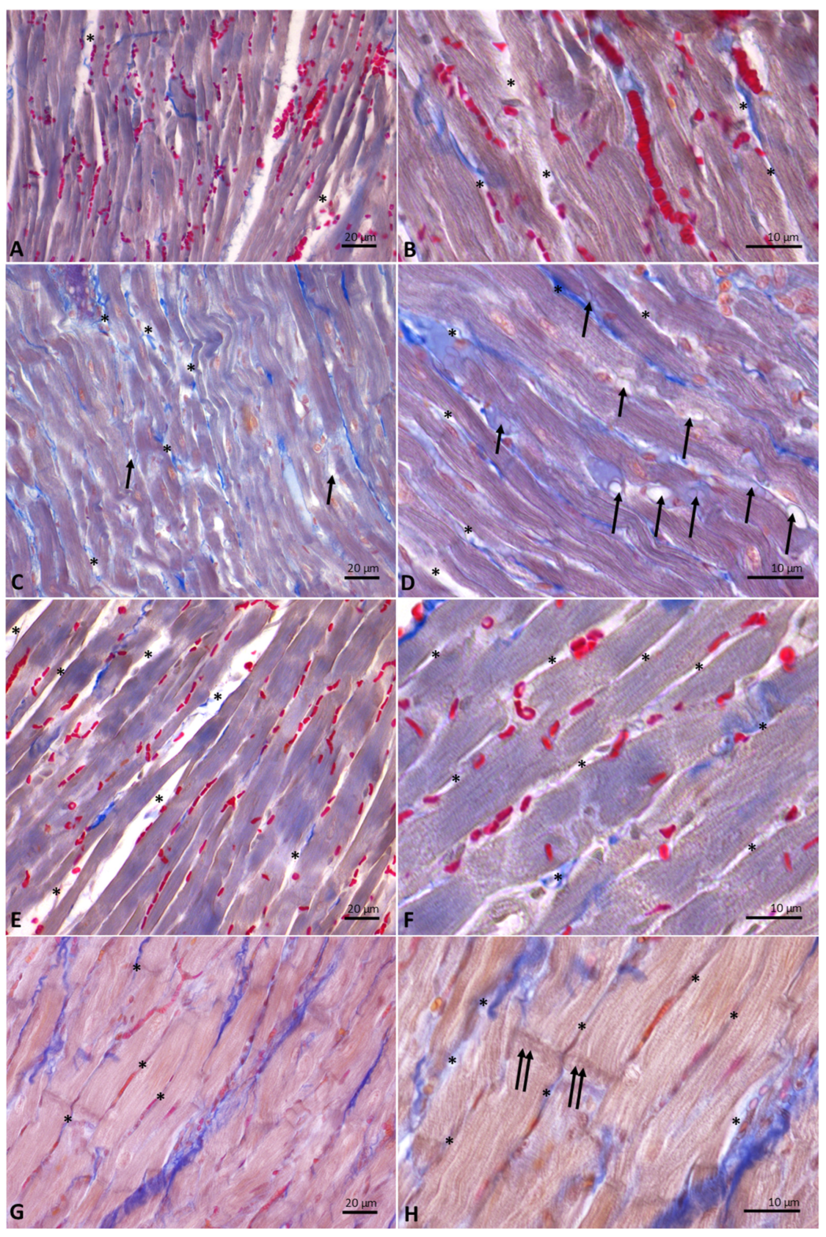 Antioxidants 10 01807 g006