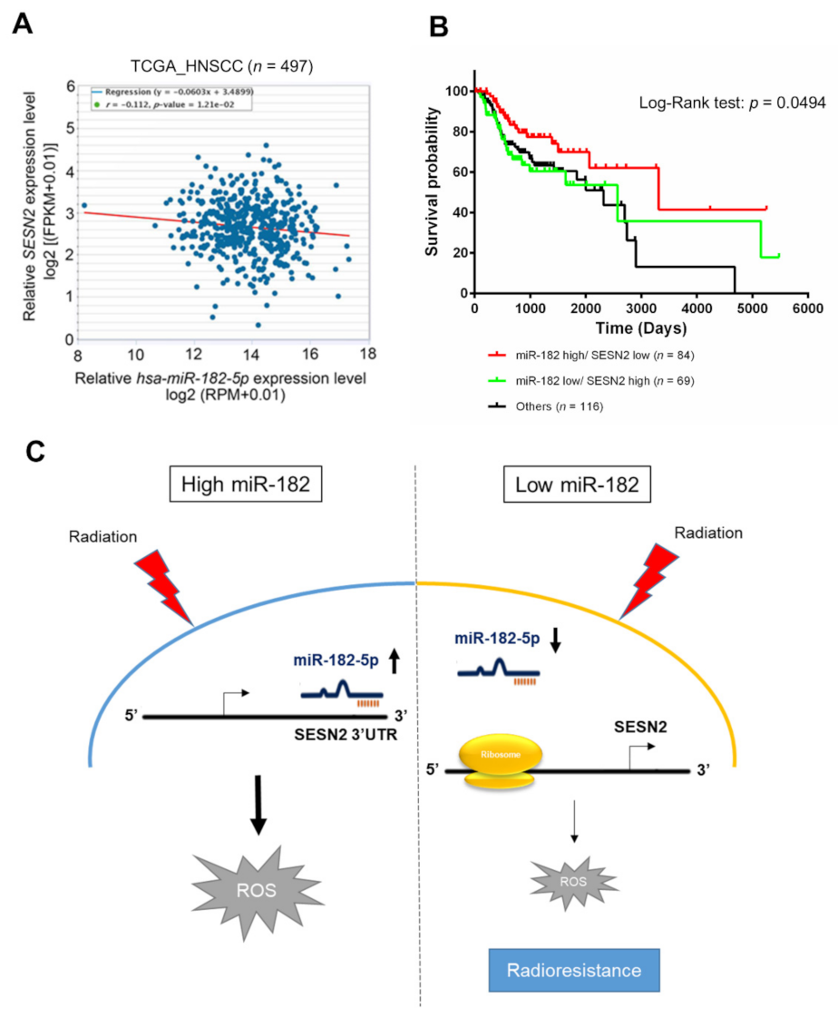 Antioxidants 10 01808 g007