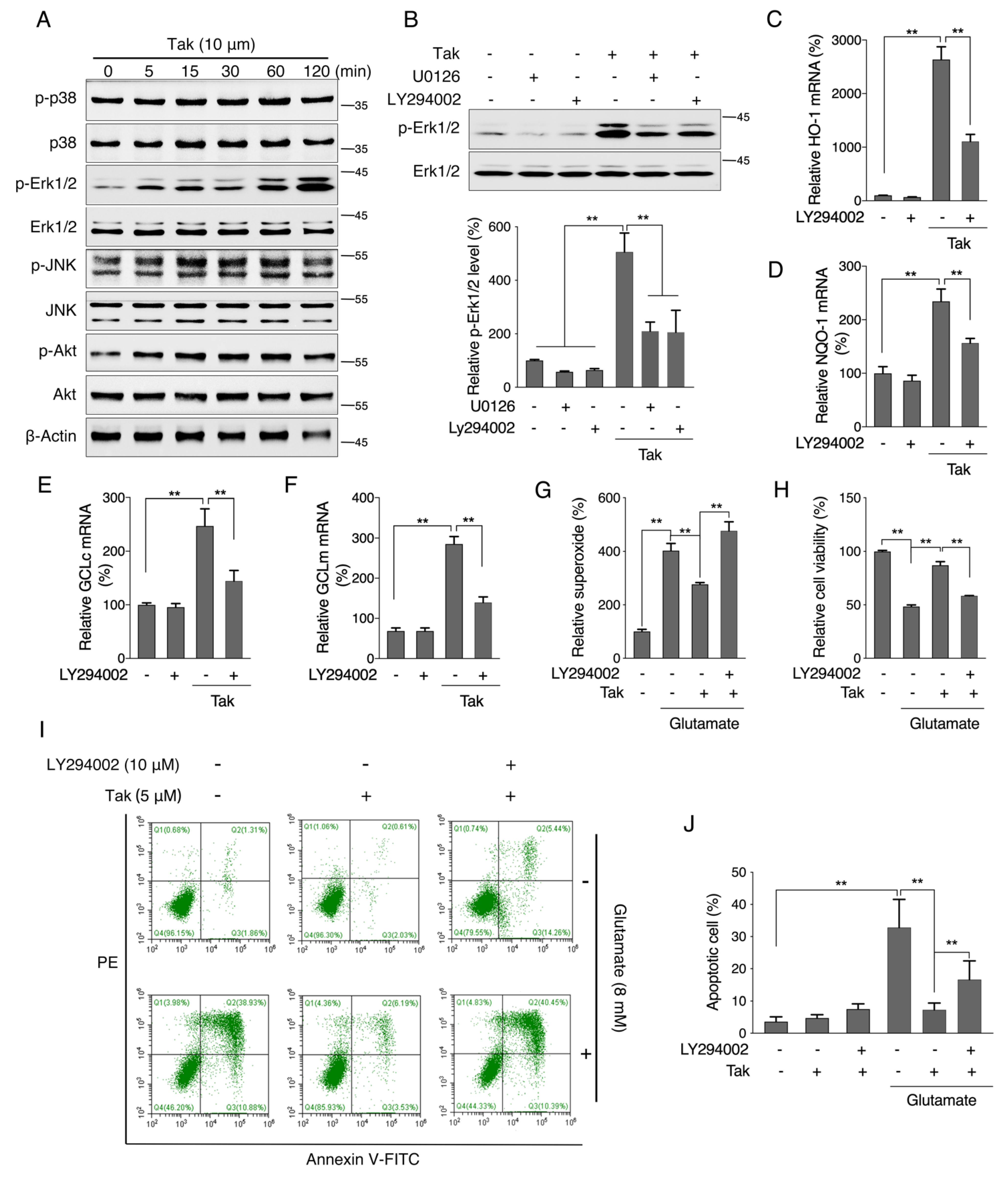 Antioxidants 10 01811 g005 550
