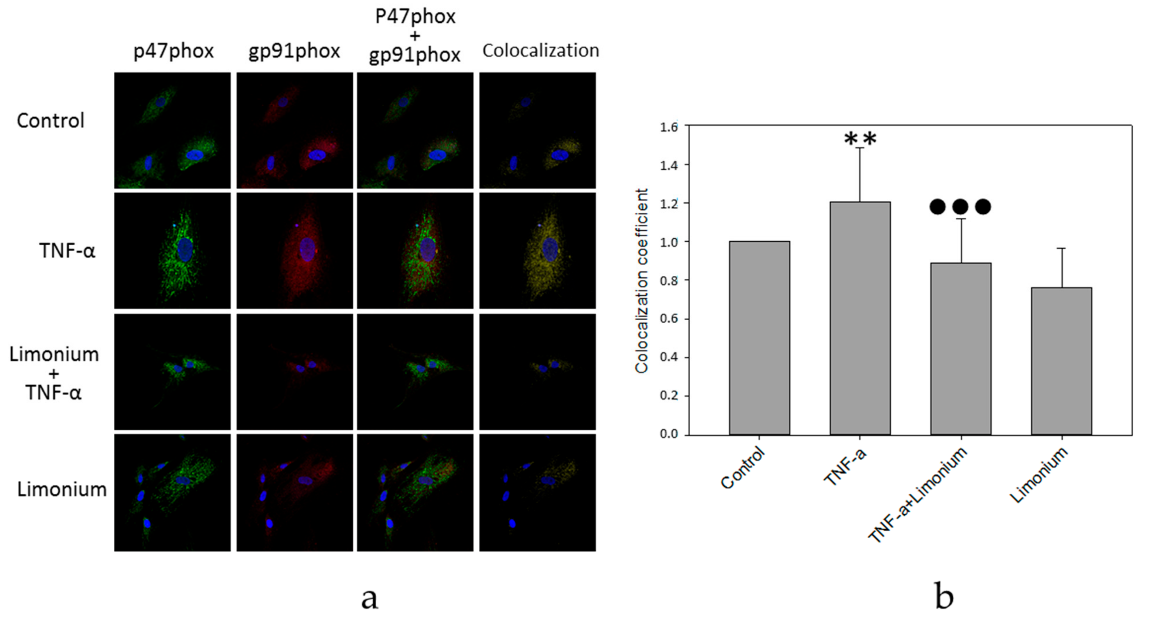 Antioxidants 10 01814 g004