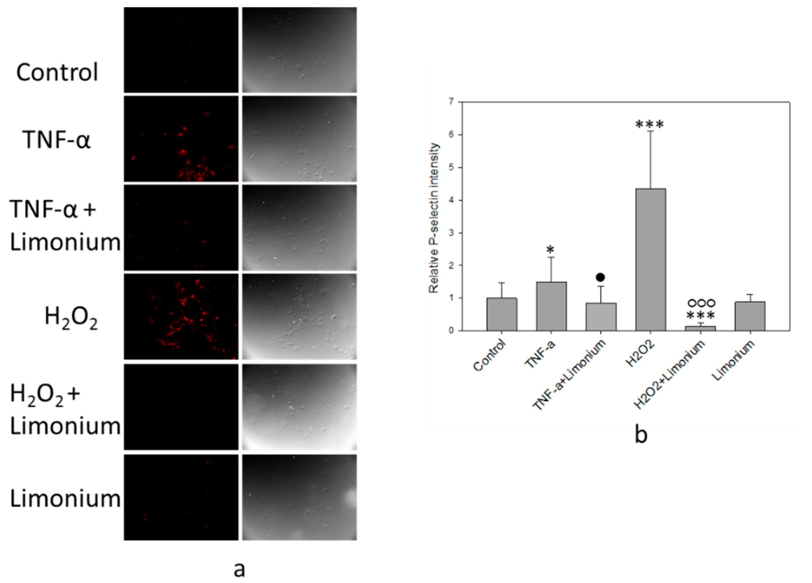 Antioxidants 10 01814 g006