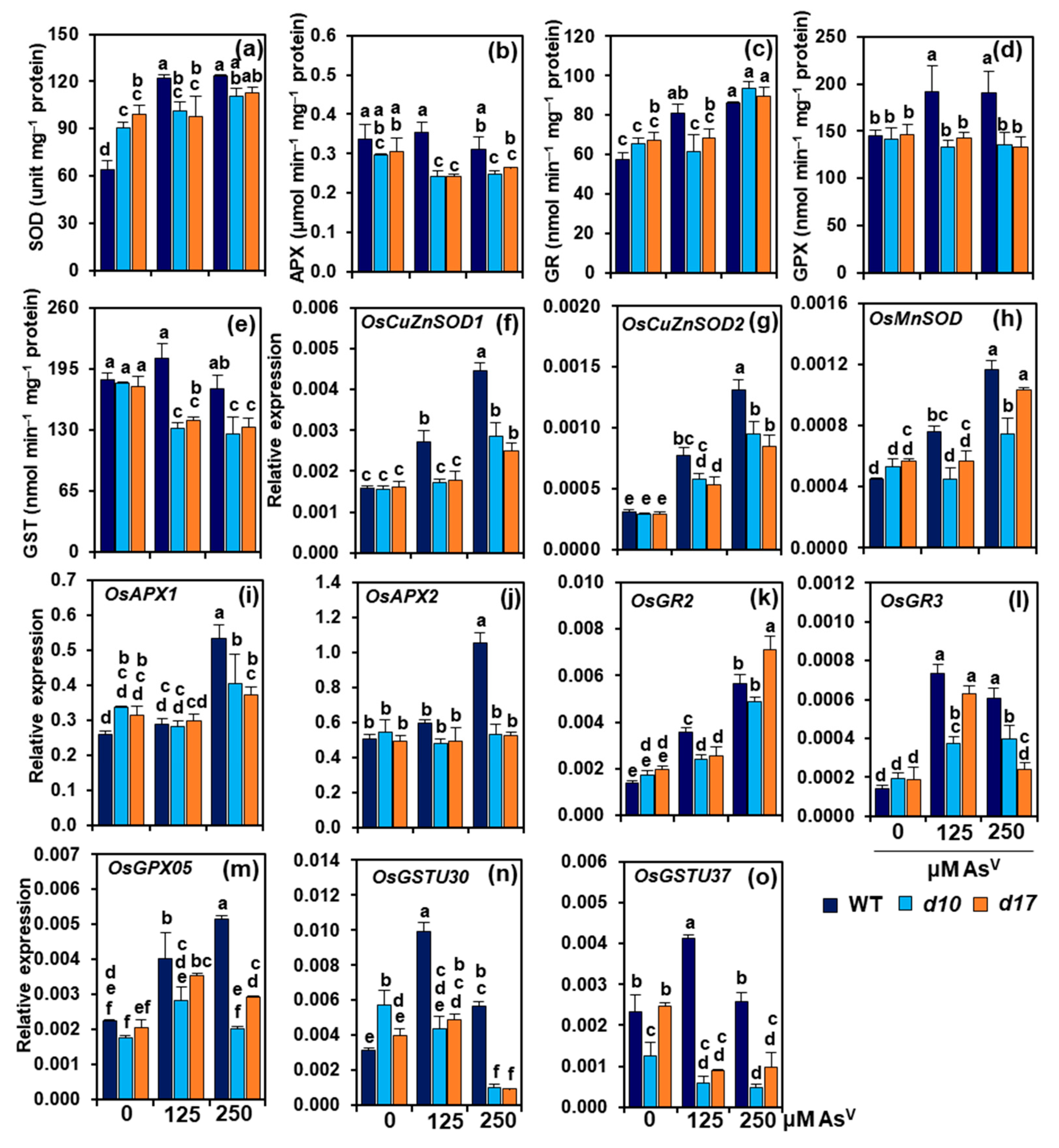 Antioxidants 10 01815 g005