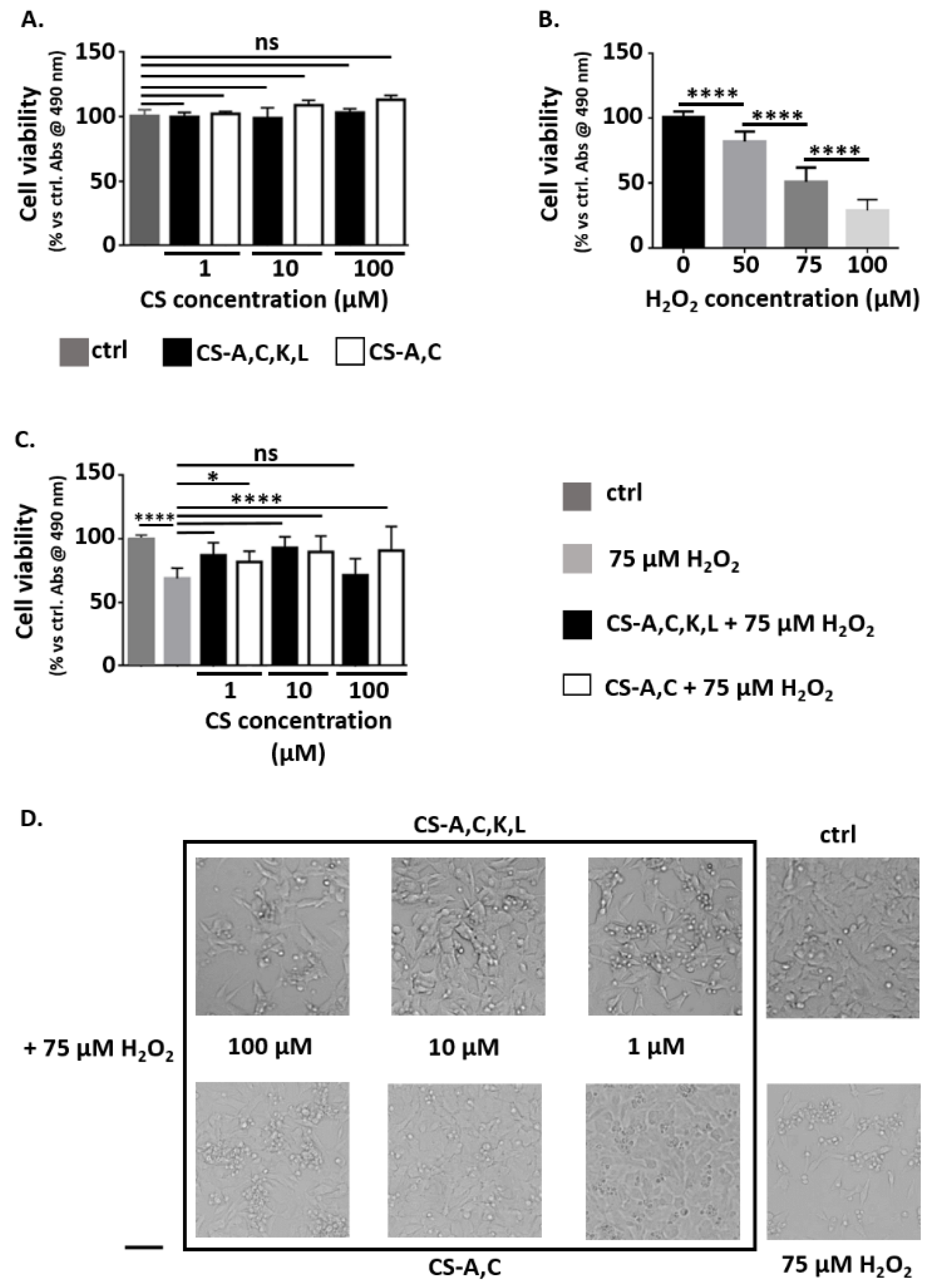 Antioxidants 10 01816 g002 Antioxidants 10 01816 g002