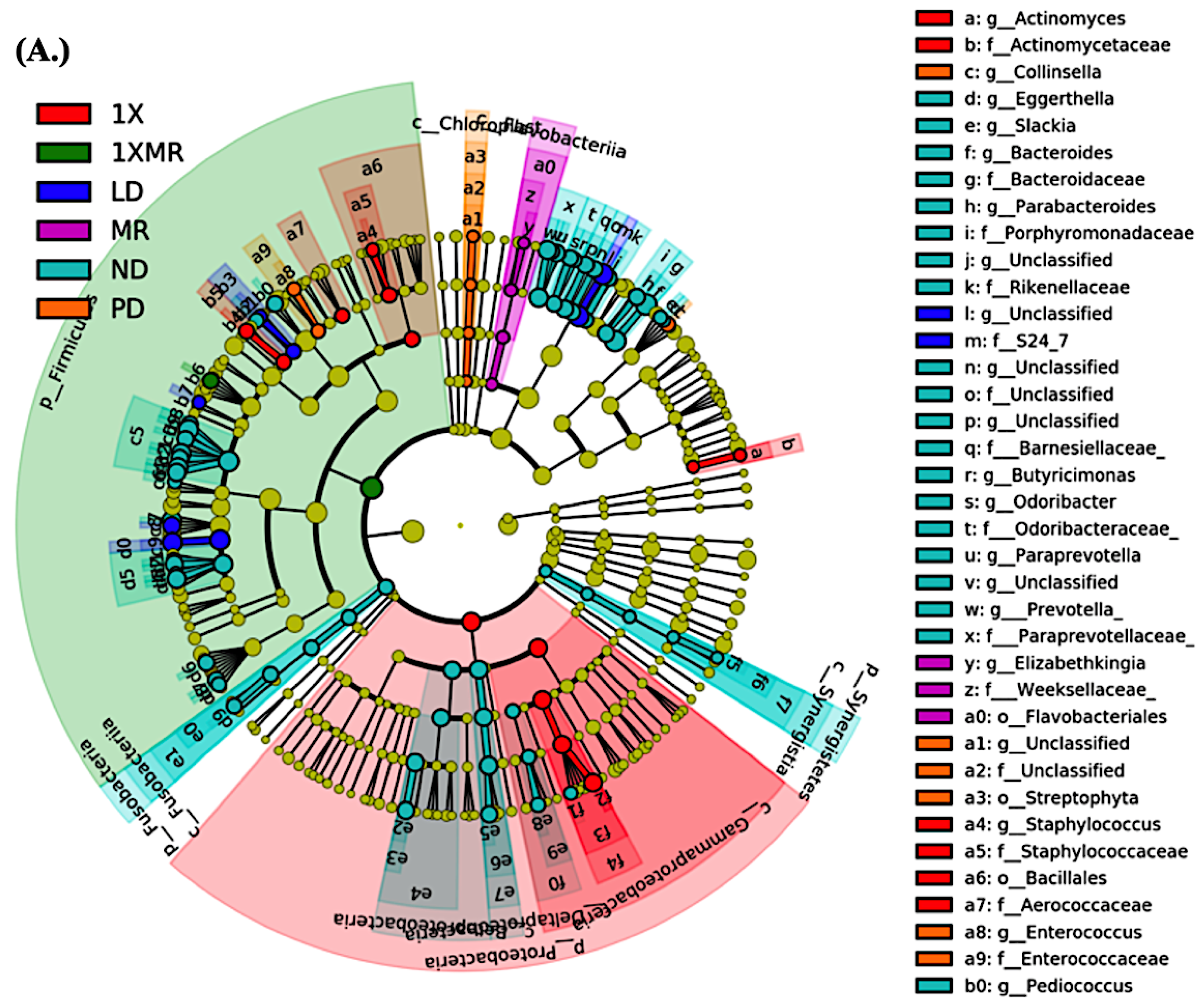 Antioxidants 10 01823 g005a