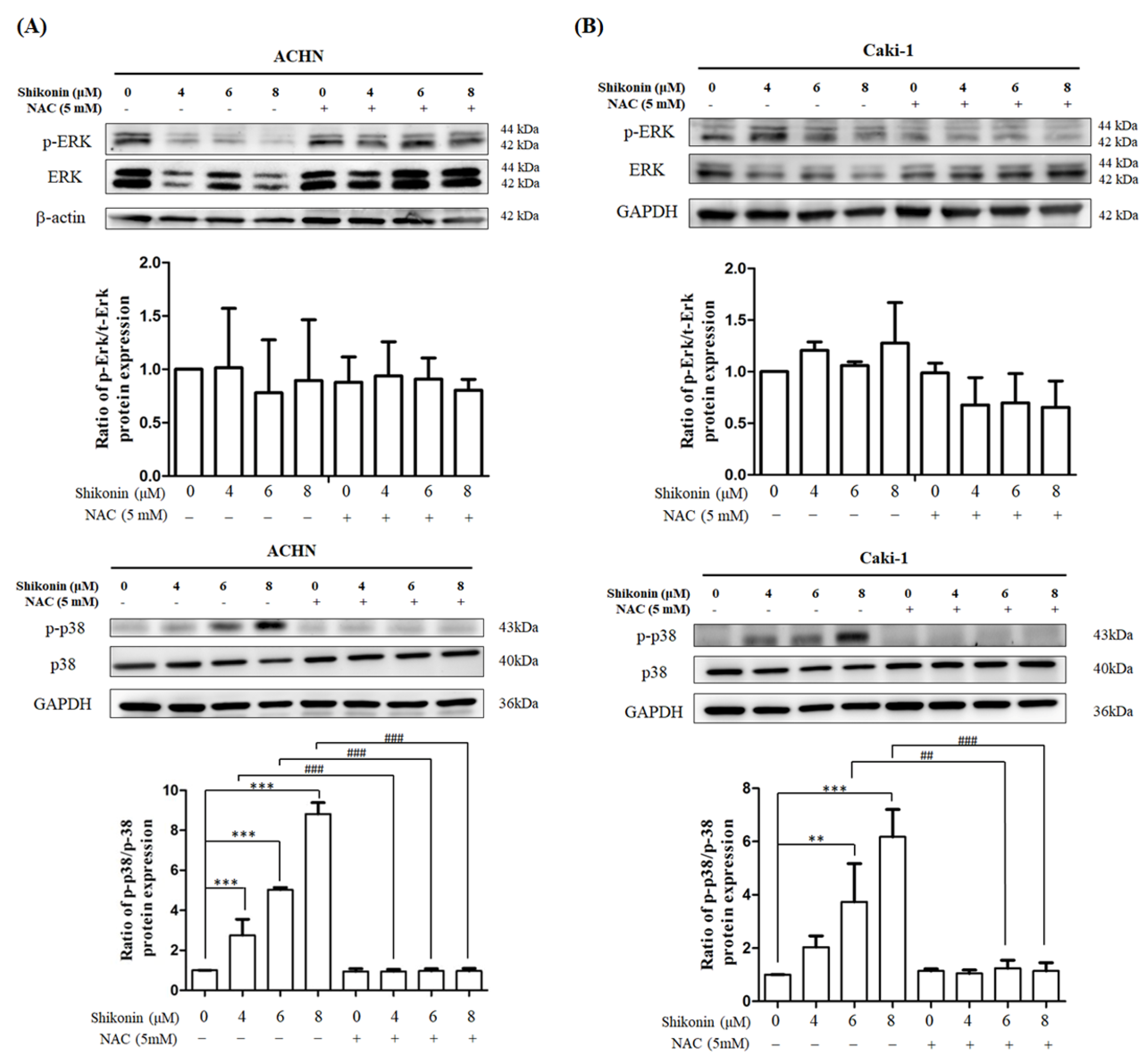 Antioxidants 10 01831 g008 550