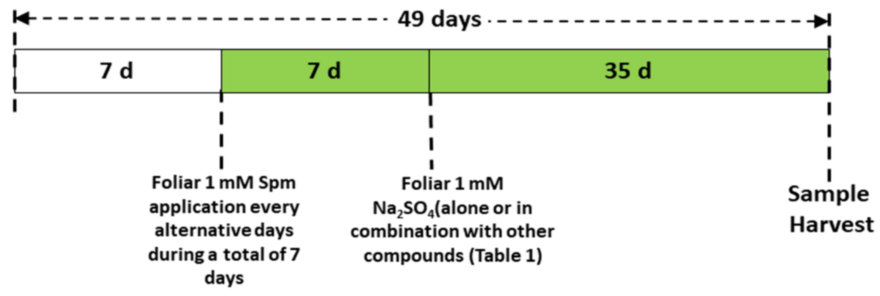 Antioxidants 10 01835 g001