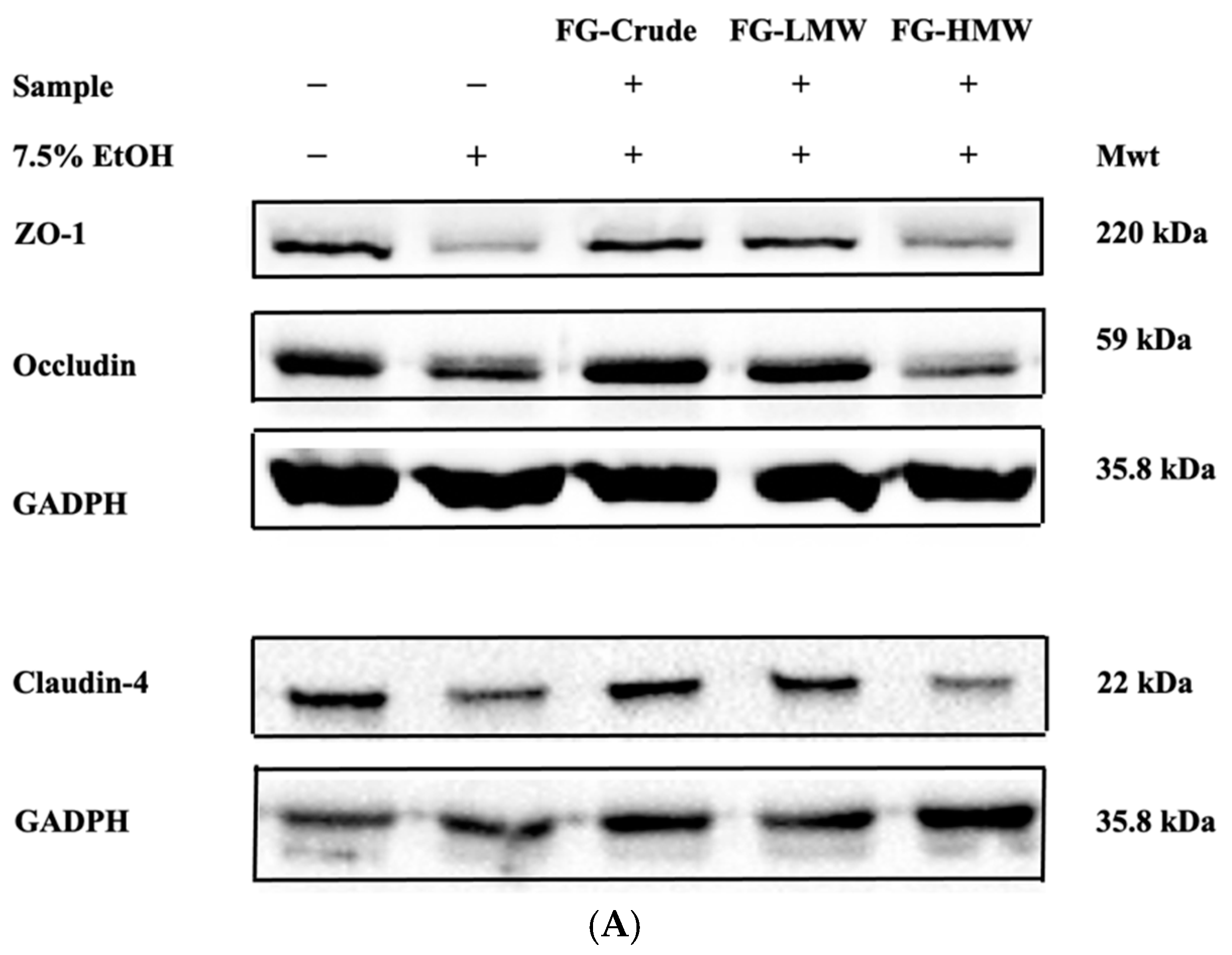 Antioxidants 10 01840 g005a 550
