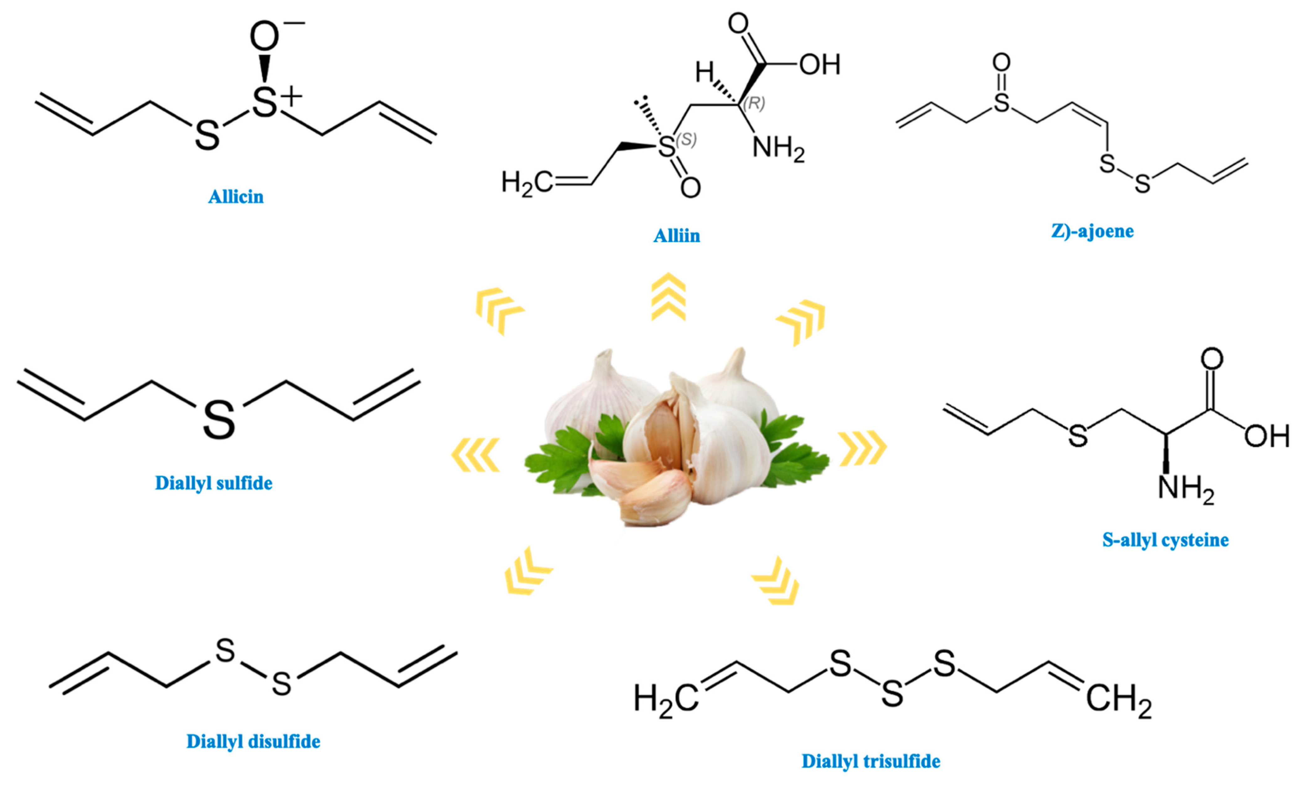 Antioxidants 10 01847 g003 Antioxidants 10 01847 g003