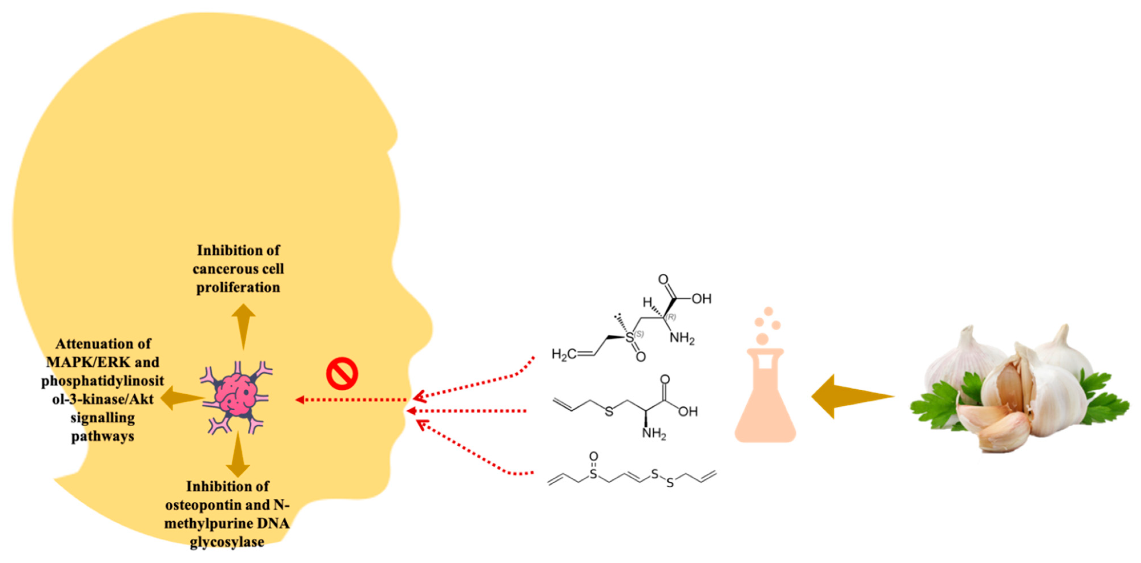 Antioxidants 10 01847 g005 Antioxidants 10 01847 g005