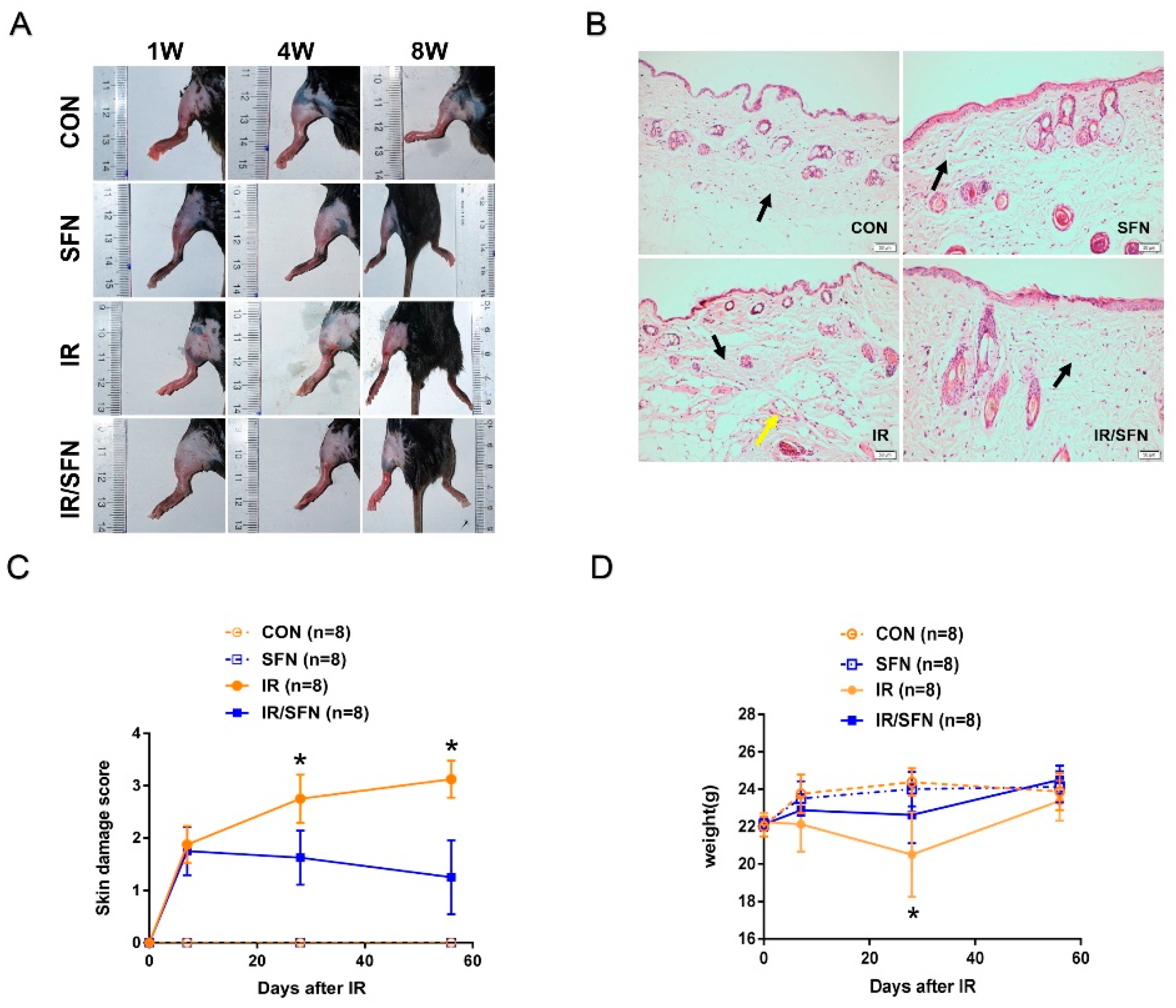Antioxidants 10 01850 g001 550