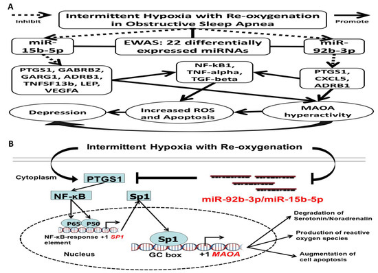 MicroRNA Sequencing Analysis in Obstructive Sleep Apnea and MicroRNA Sequencing Analysis in Obstructive Sleep Apnea and