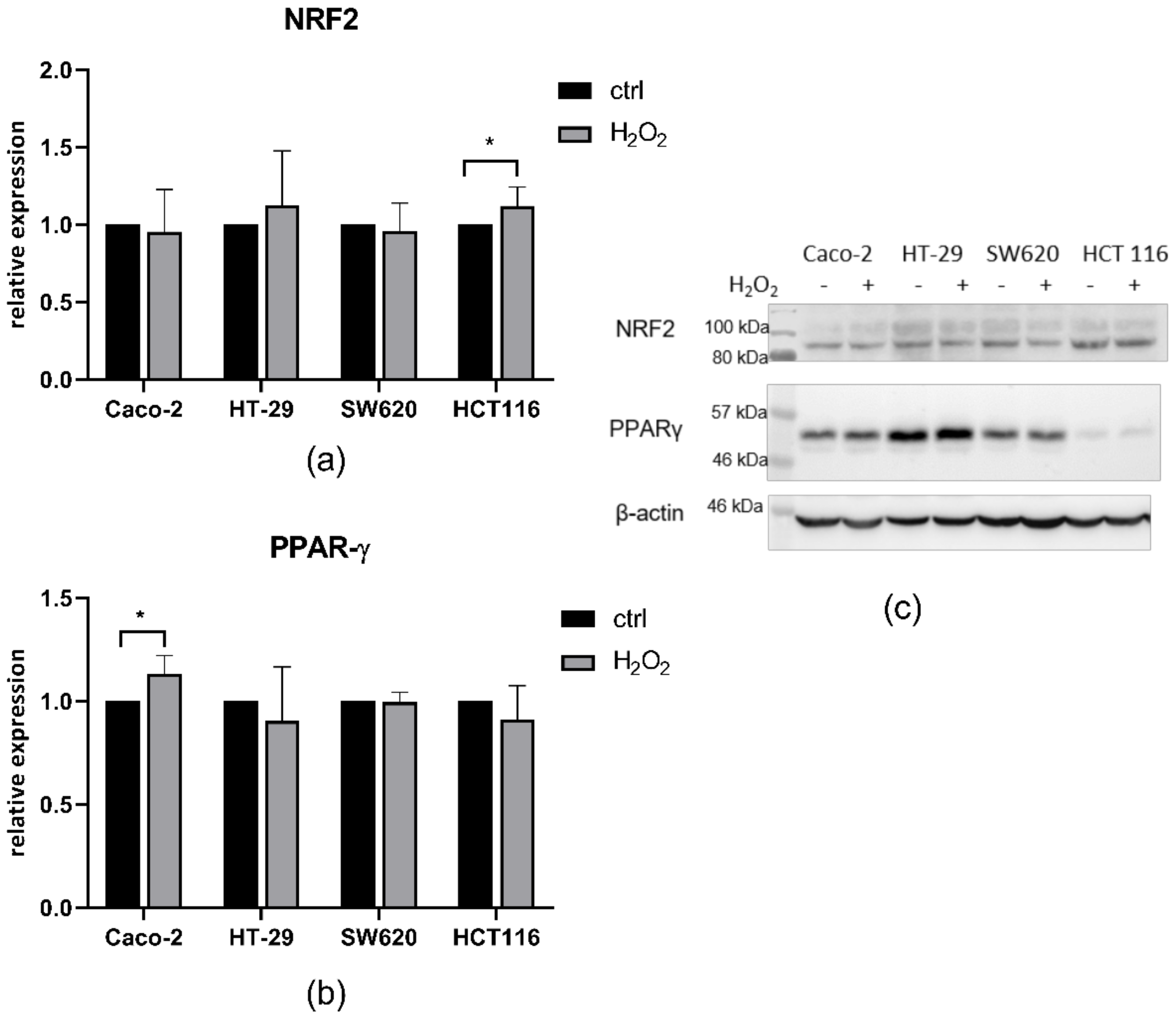 Antioxidants 10 01856 g005