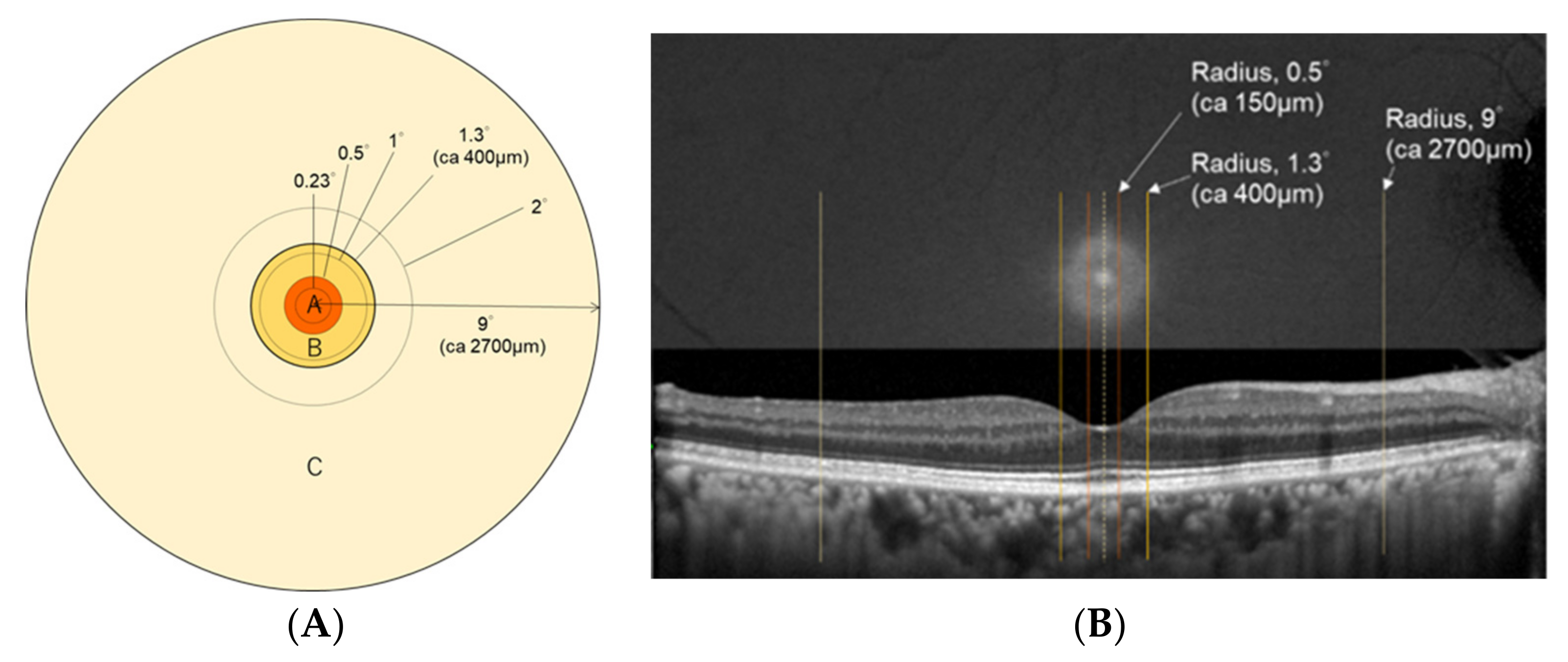 Antioxidants 10 01857 g002 Antioxidants 10 01857 g002