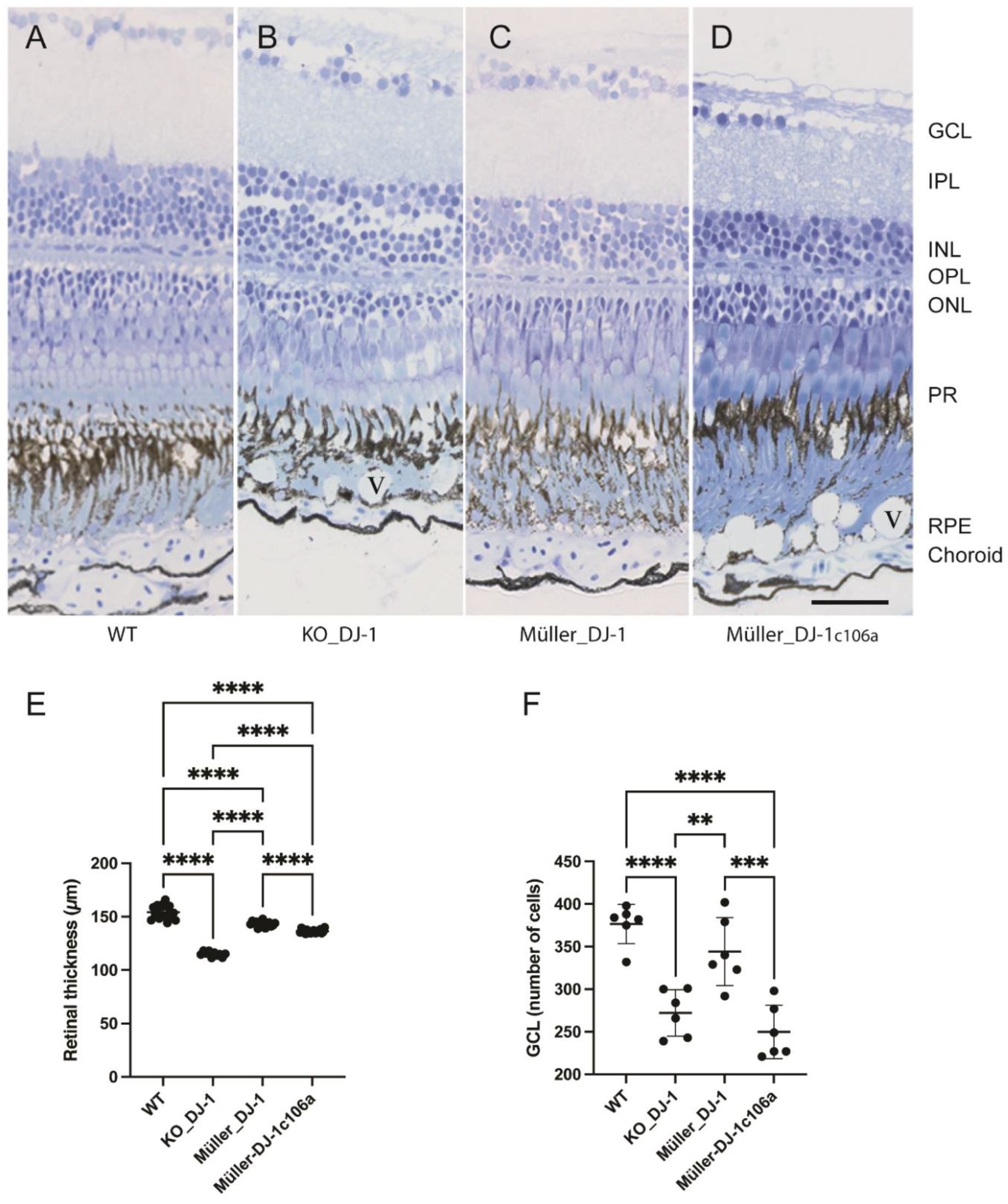 Antioxidants 10 01862 g002