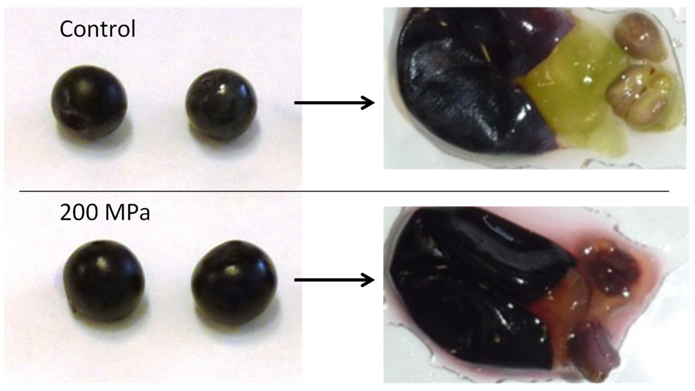 Antioxidants 10 01863 g003 550