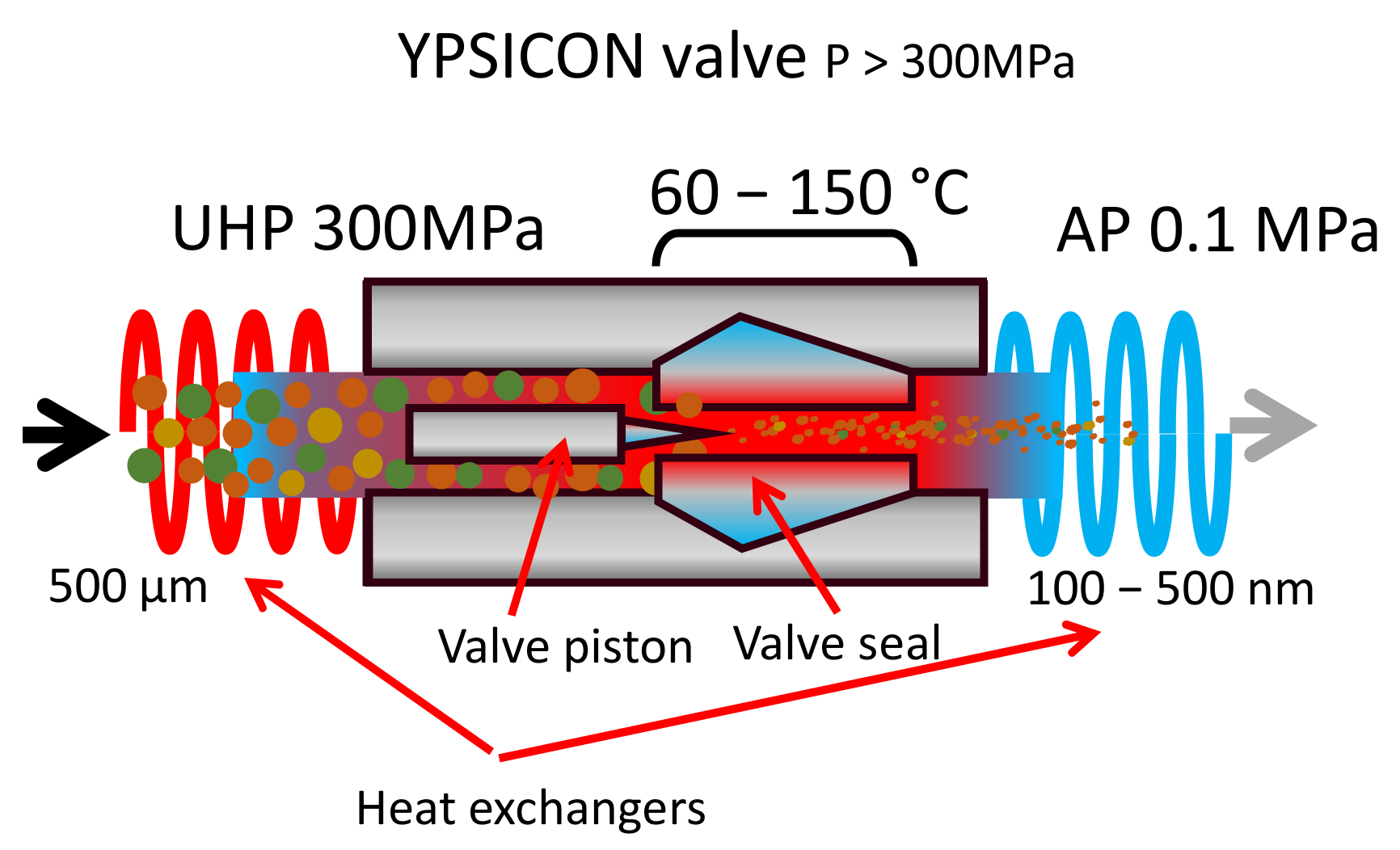 Antioxidants 10 01863 g004 550