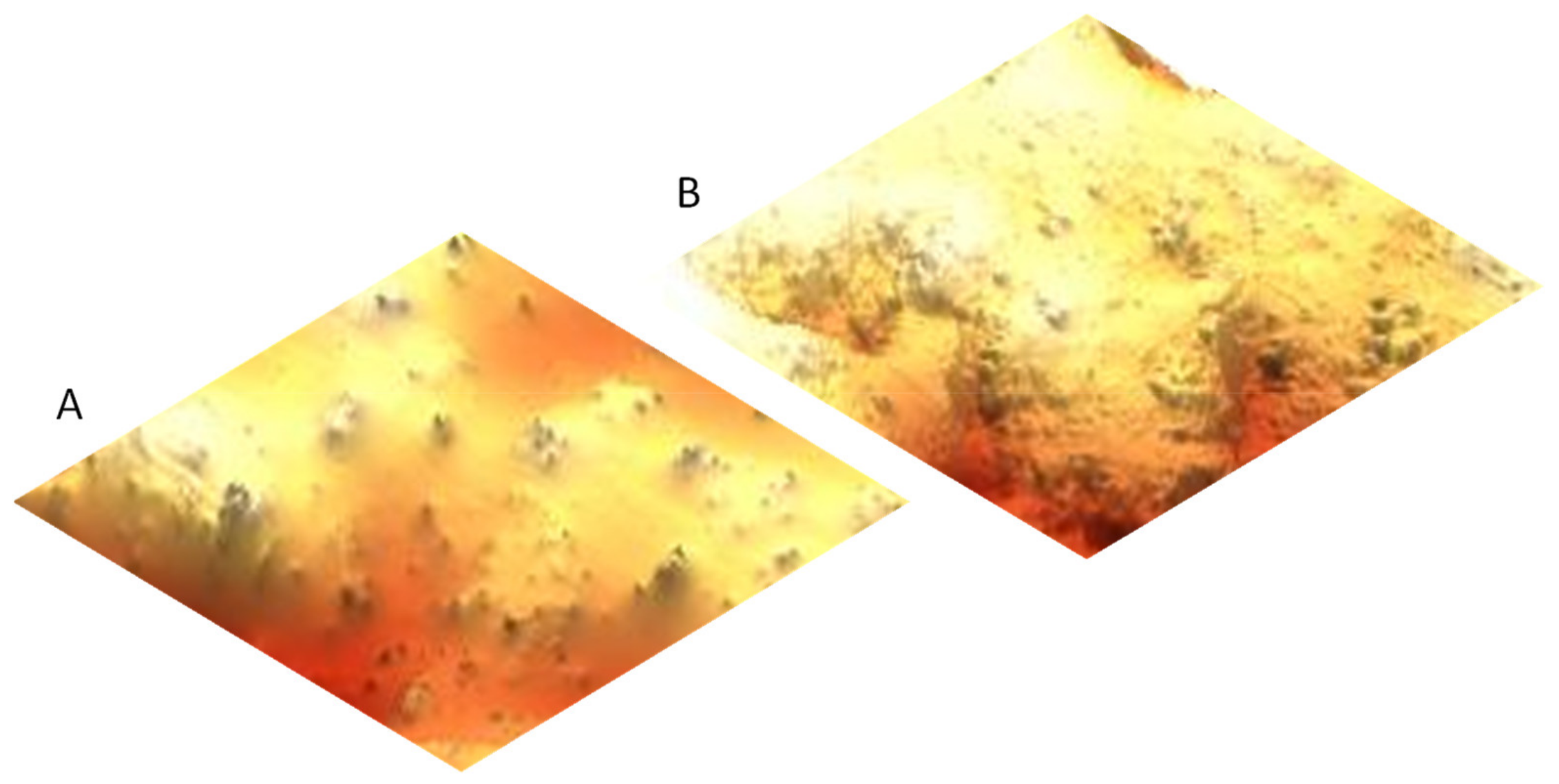 Antioxidants 10 01863 g005 550