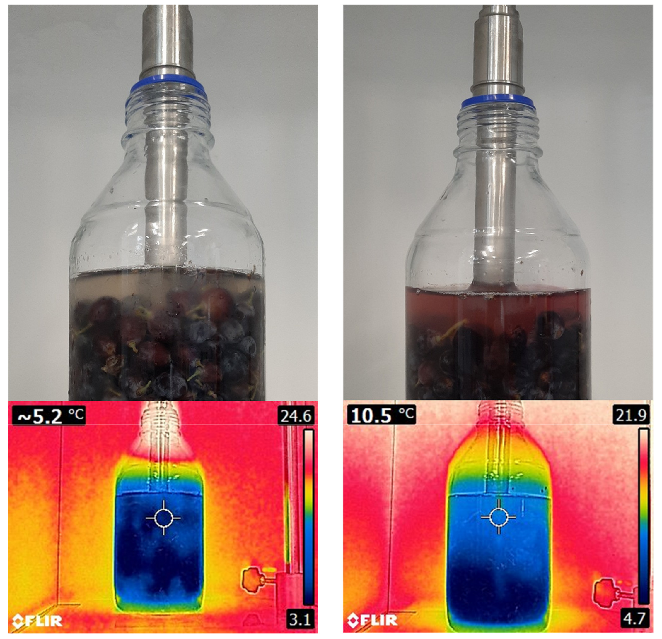 Antioxidants 10 01863 g009 550