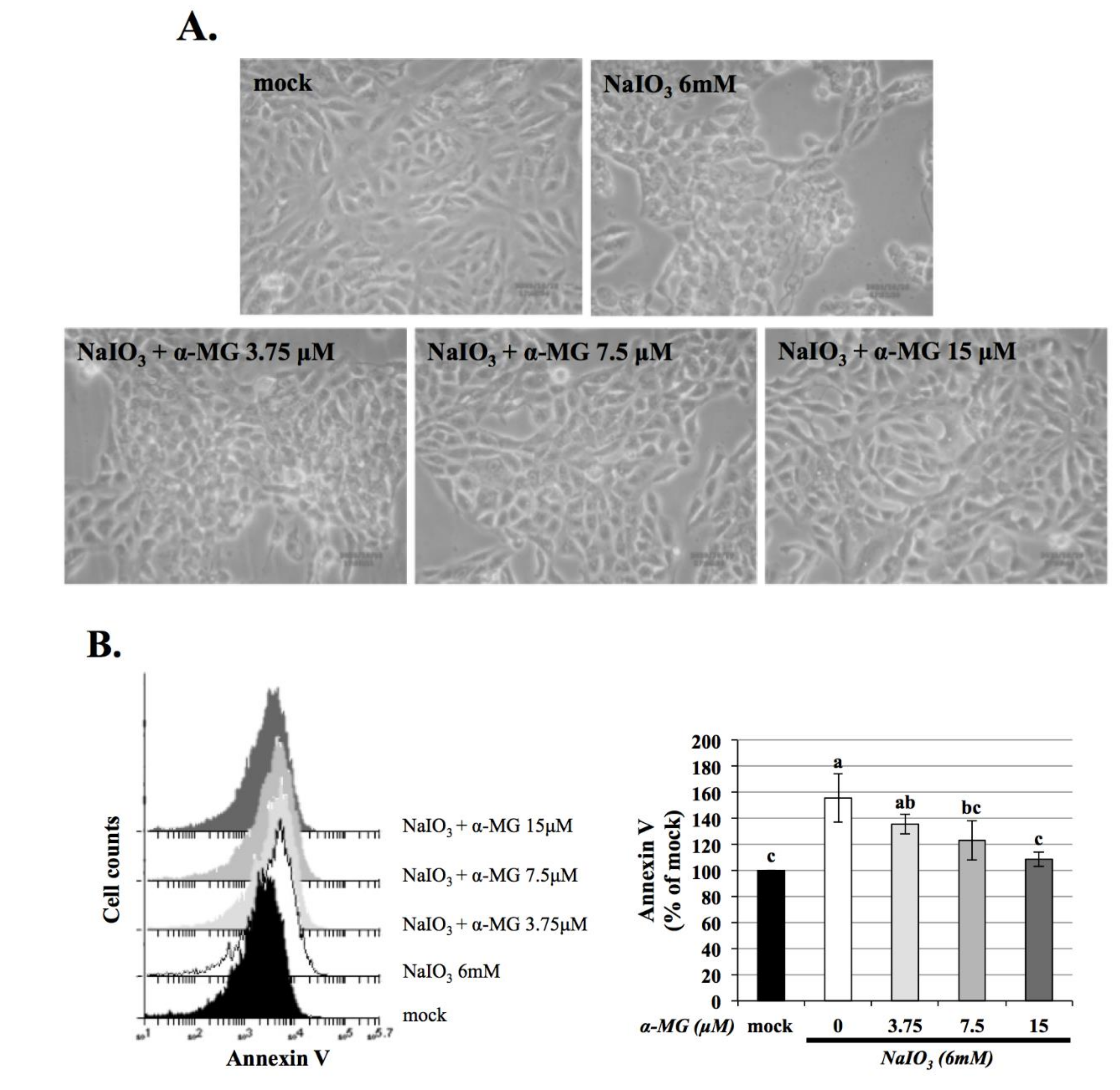 Antioxidants 10 01870 g005