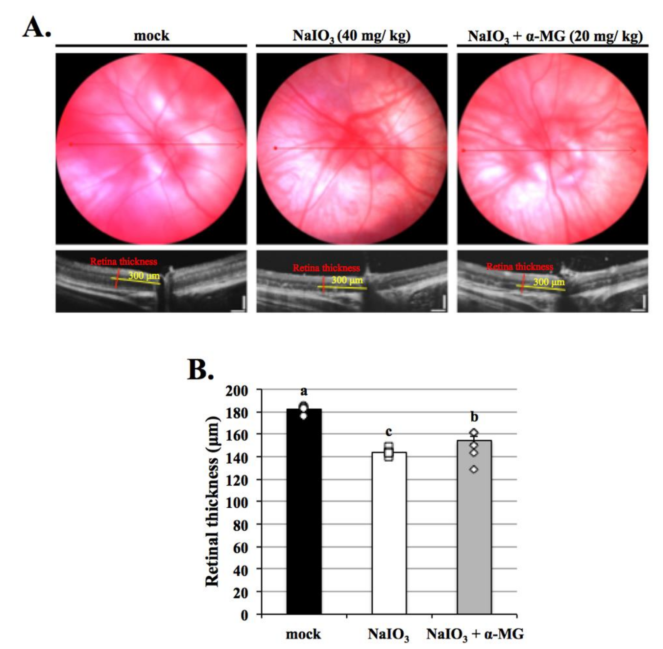 Antioxidants 10 01870 g008