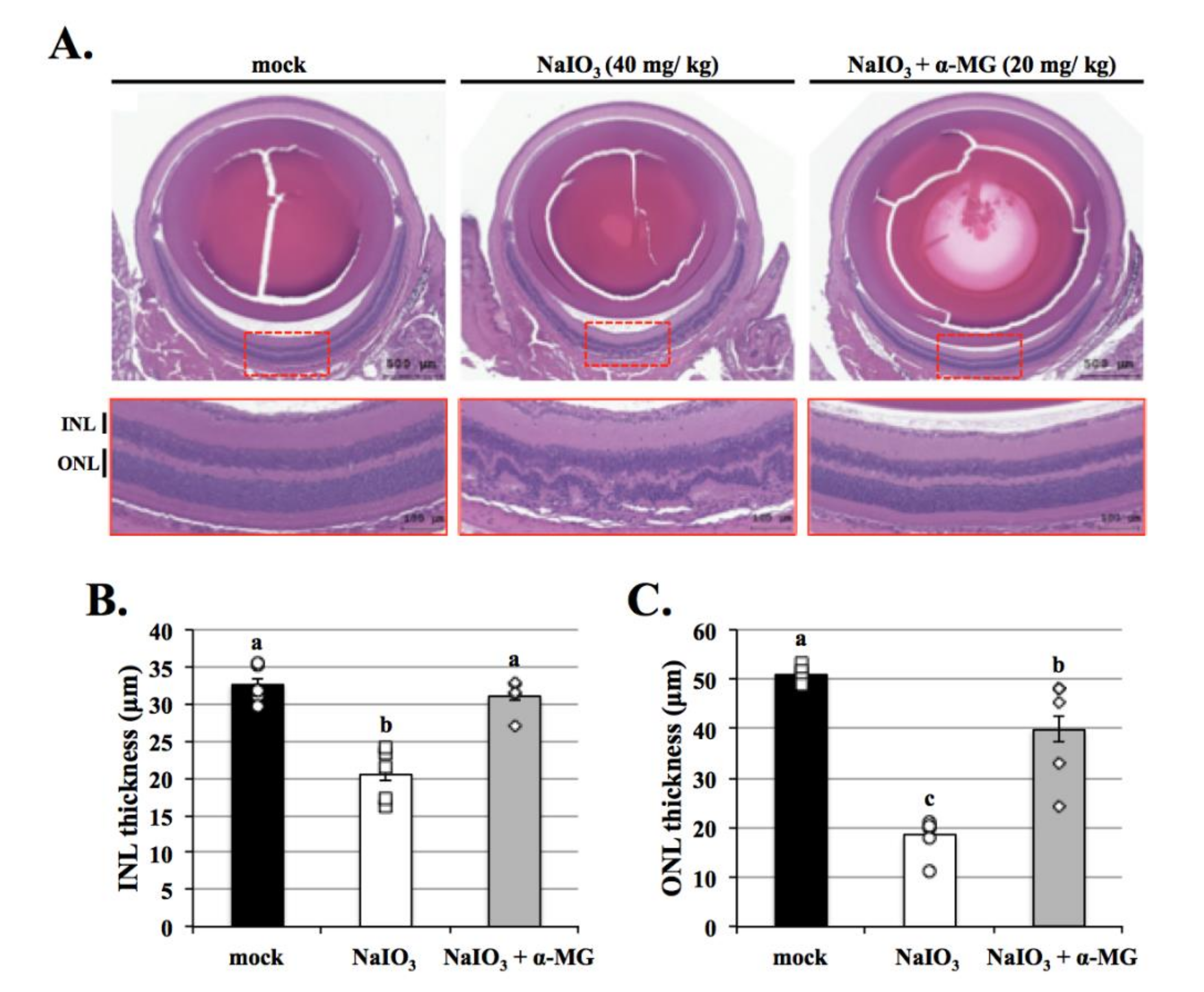 Antioxidants 10 01870 g009