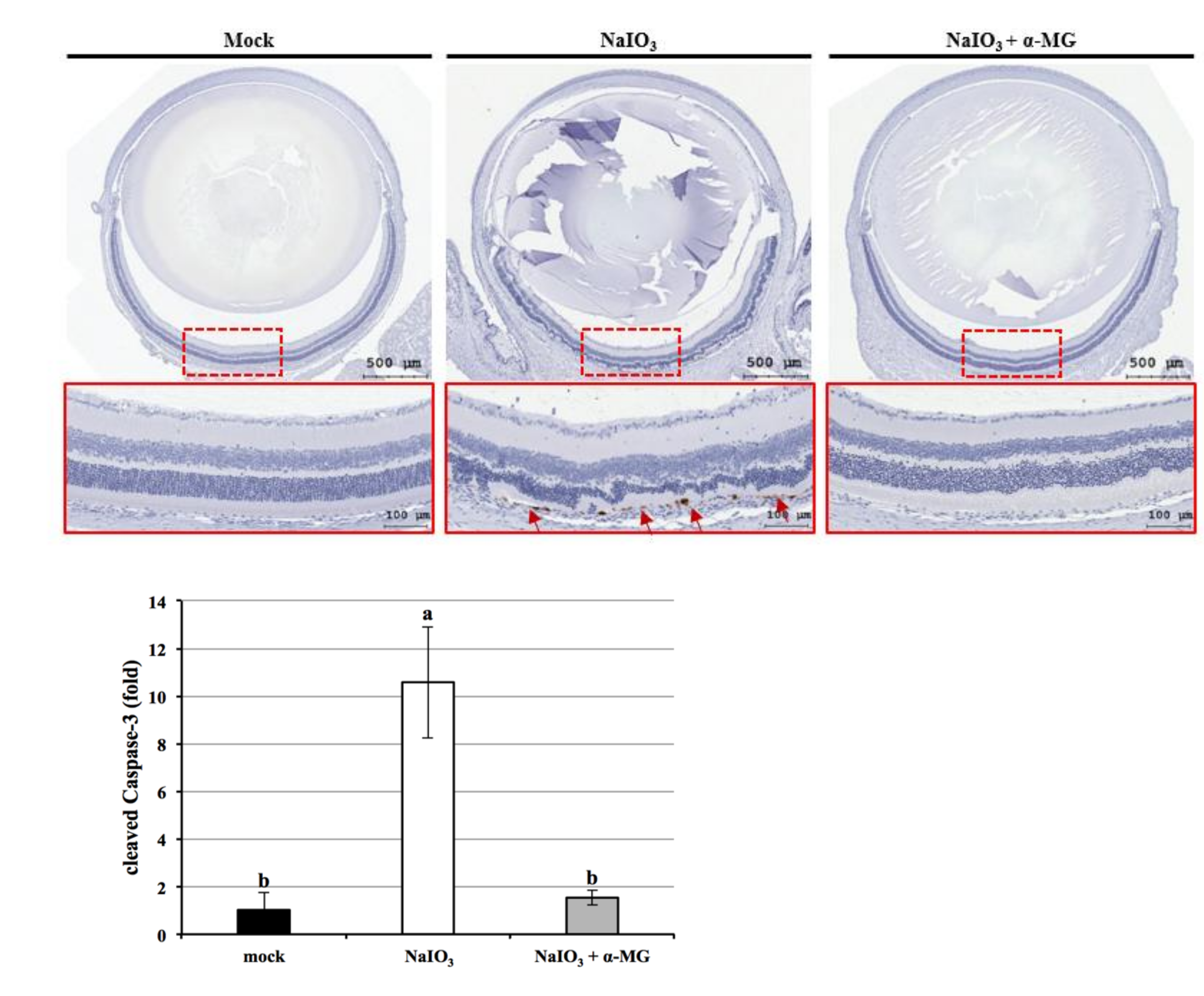 Antioxidants 10 01870 g010