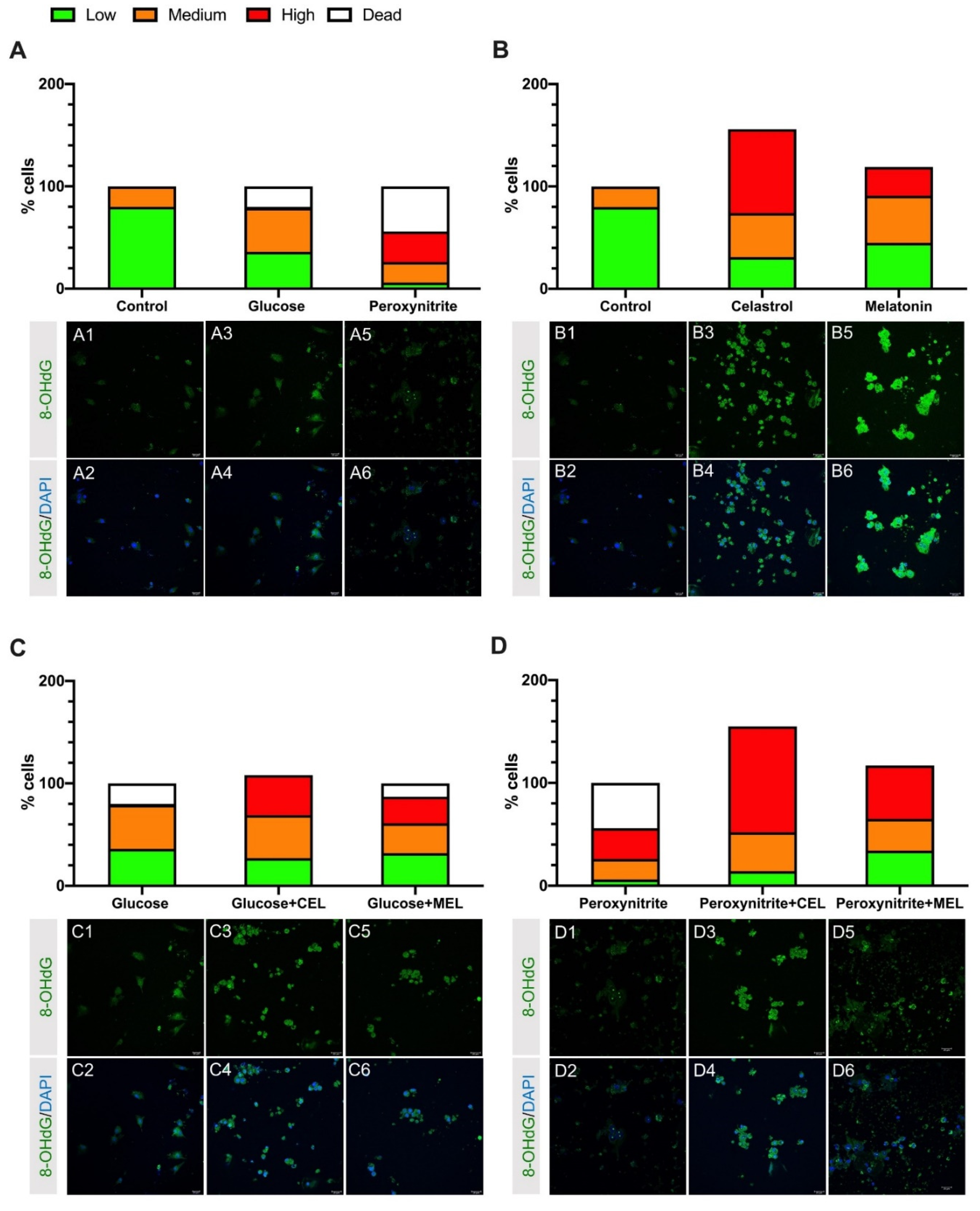 Antioxidants 10 01871 g001
