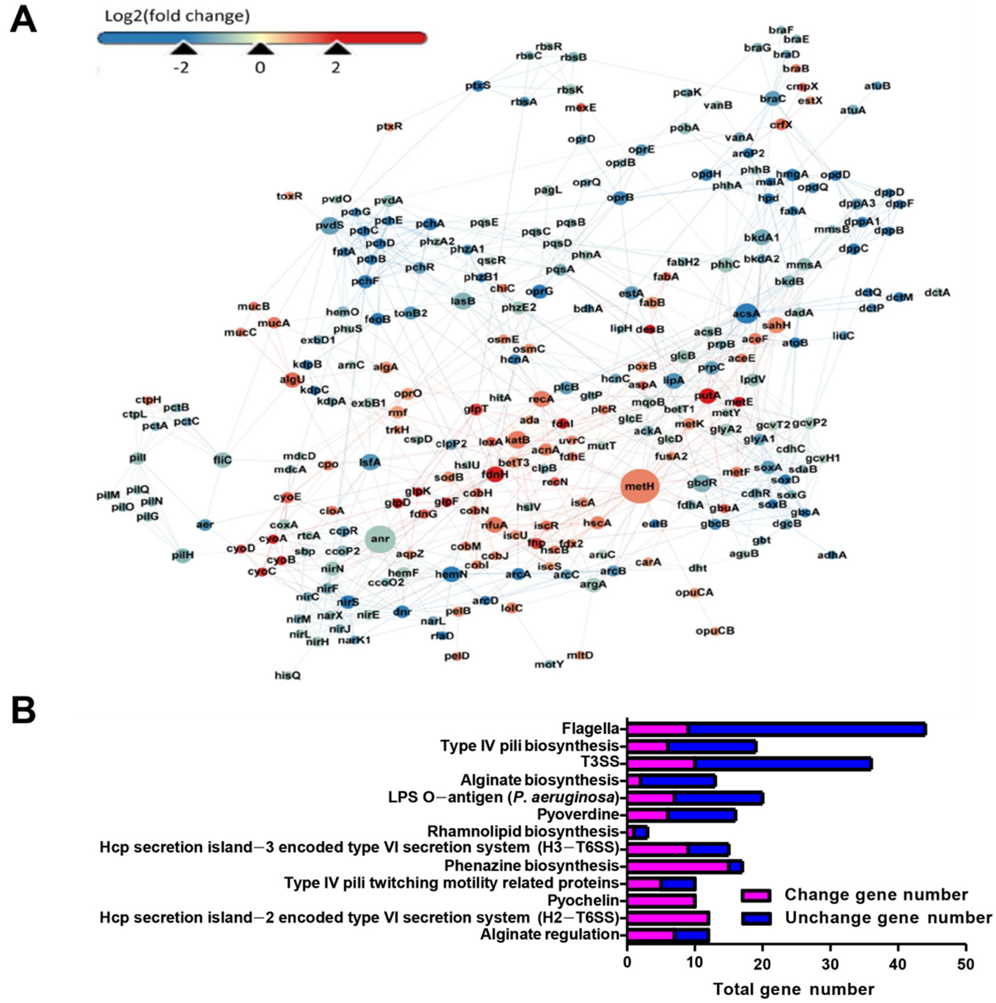 Antioxidants 10 01873 g004
