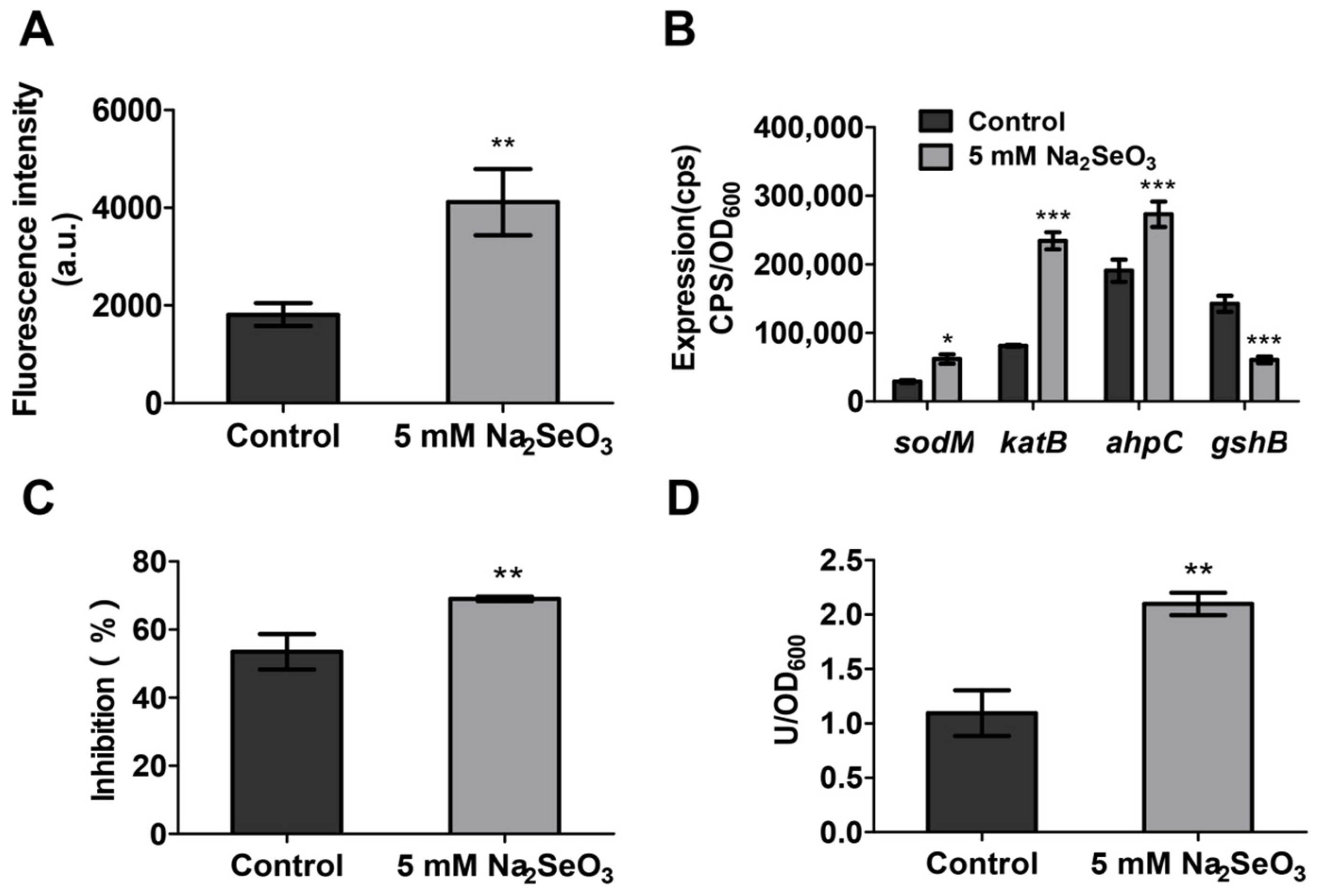 Antioxidants 10 01873 g006