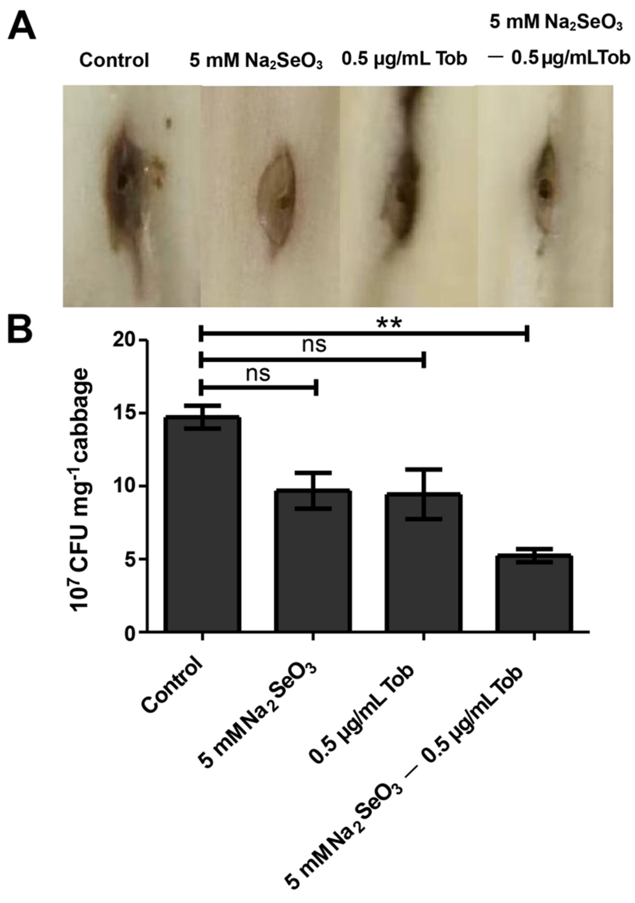 Antioxidants 10 01873 g007