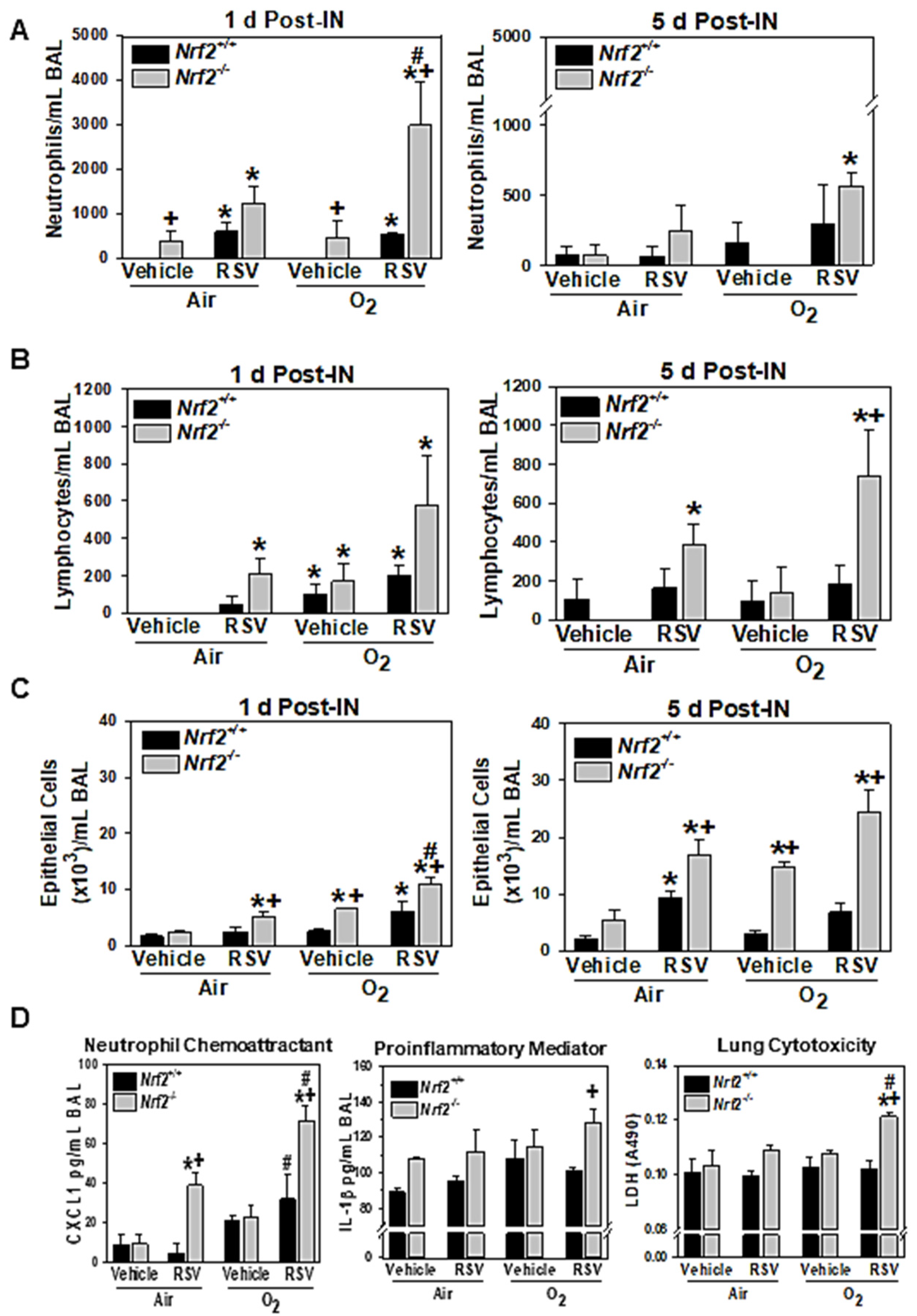 Antioxidants 10 01874 g001