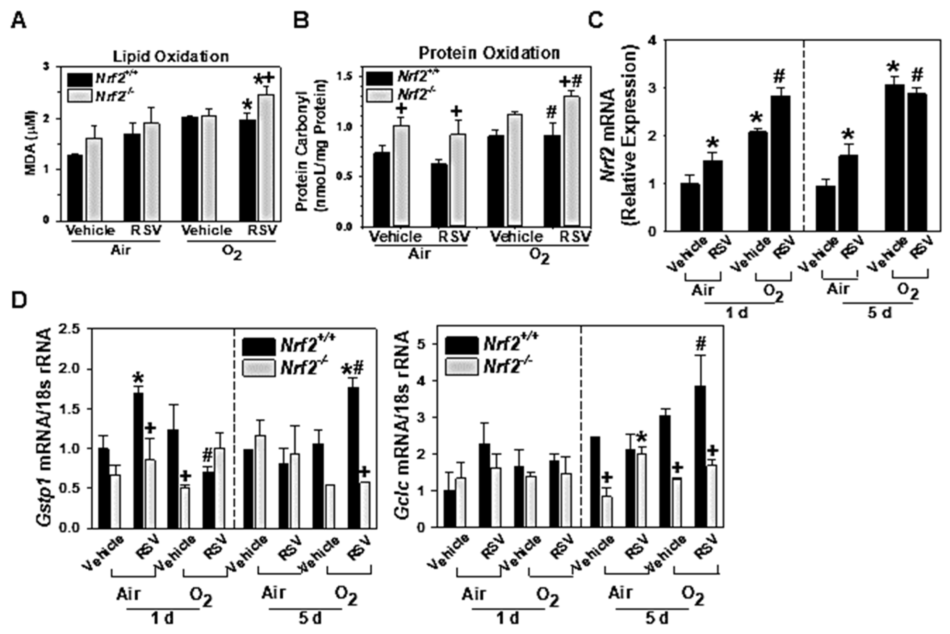 Antioxidants 10 01874 g004