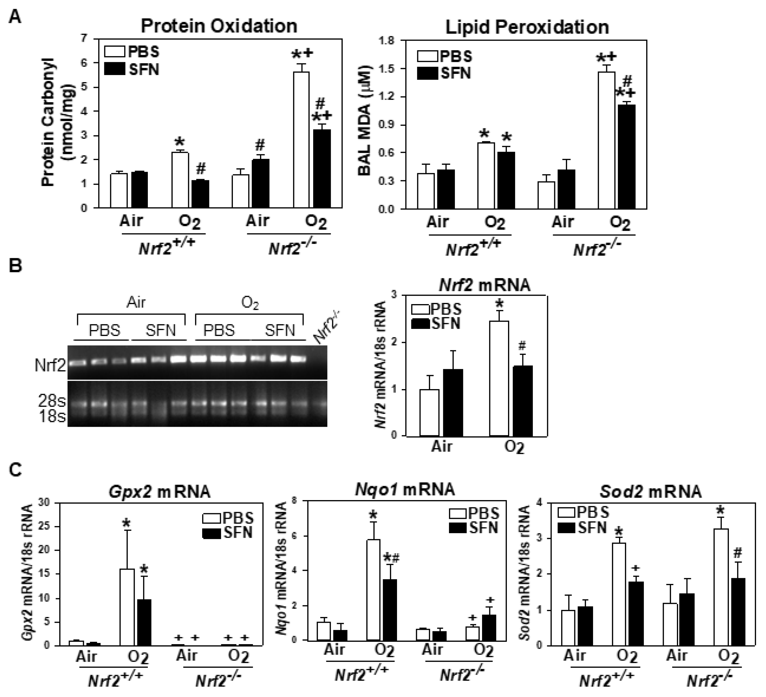 Antioxidants 10 01874 g007