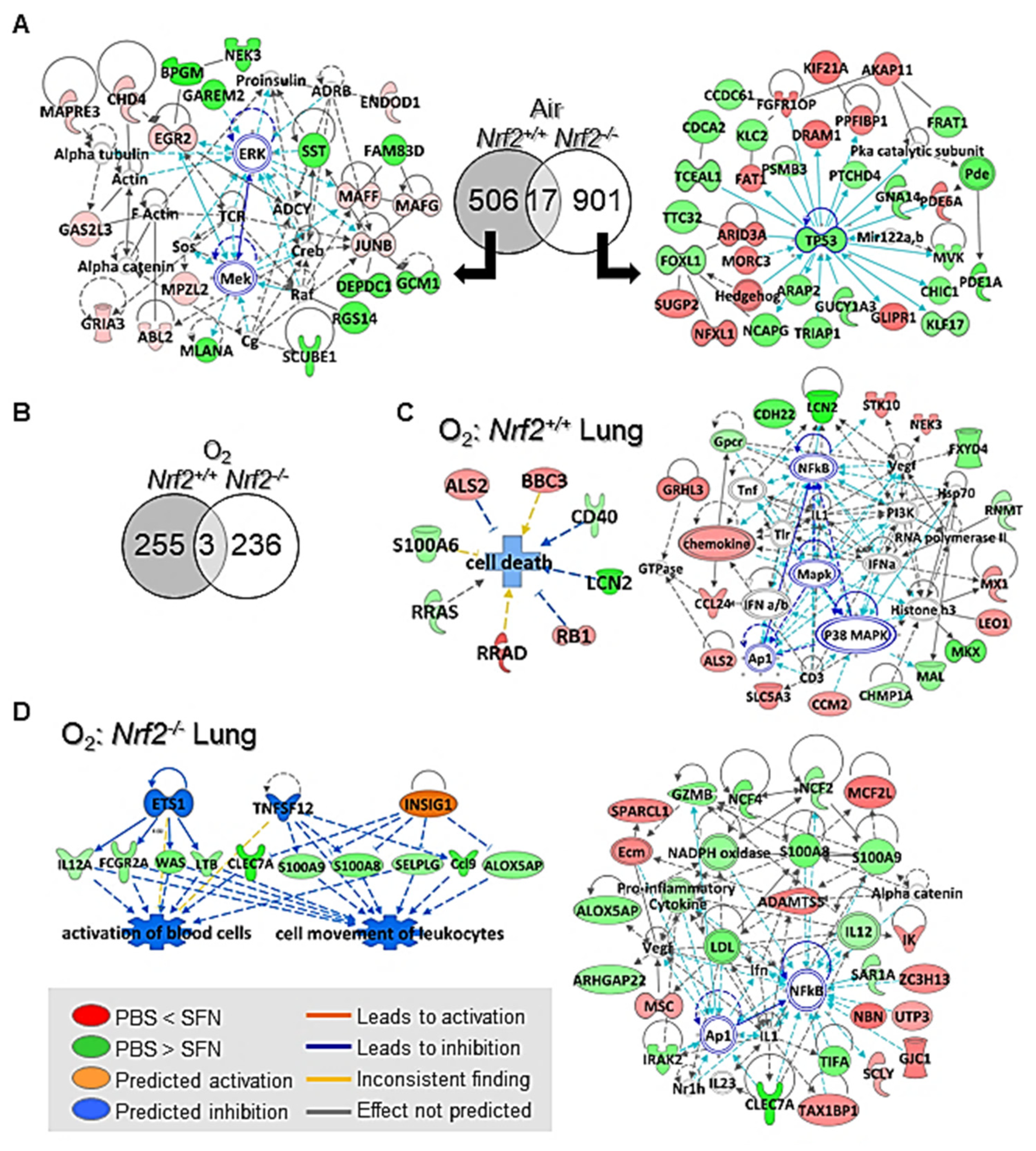 Antioxidants 10 01874 g008