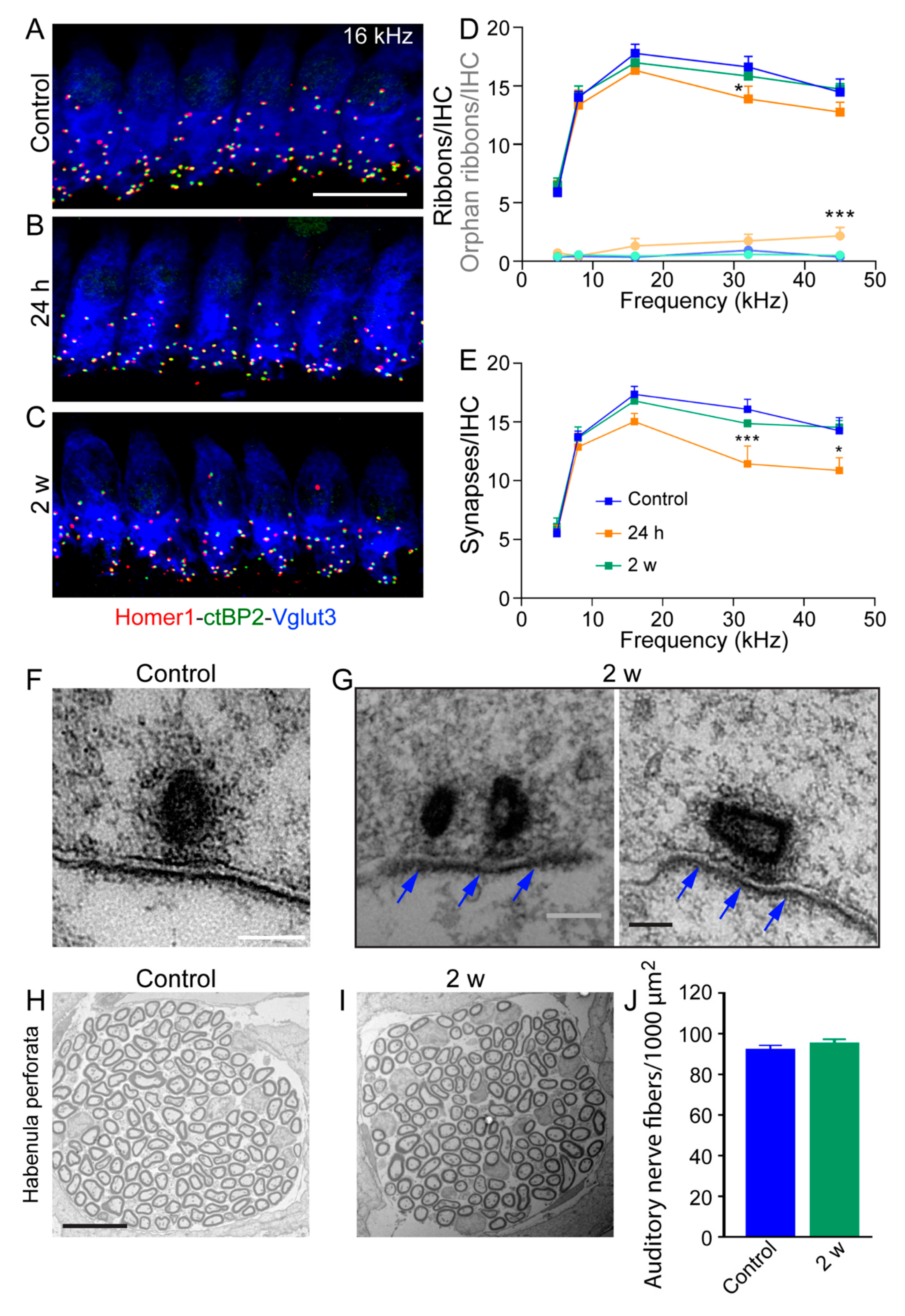 Antioxidants 10 01880 g005