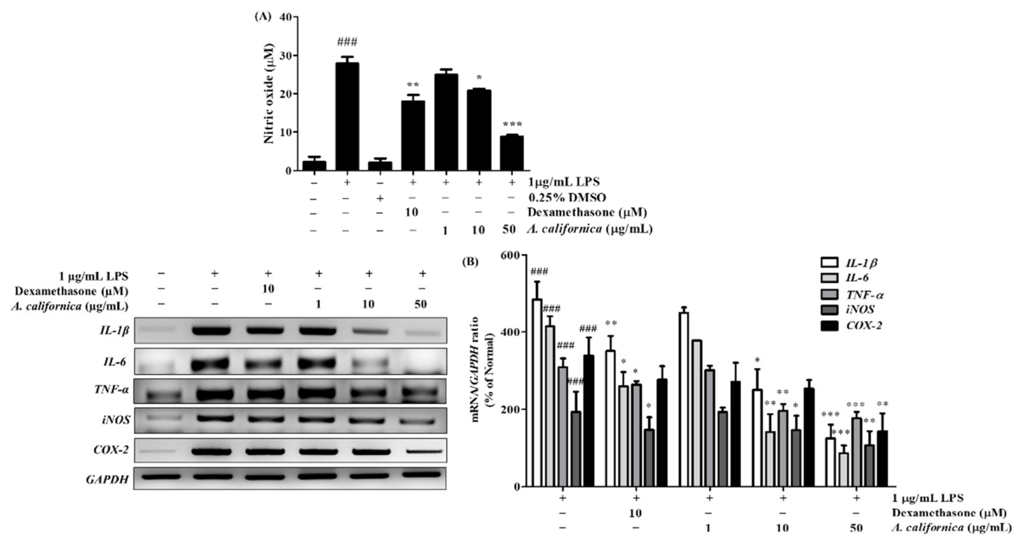 Antioxidants 10 01882 g003 Antioxidants 10 01882 g003