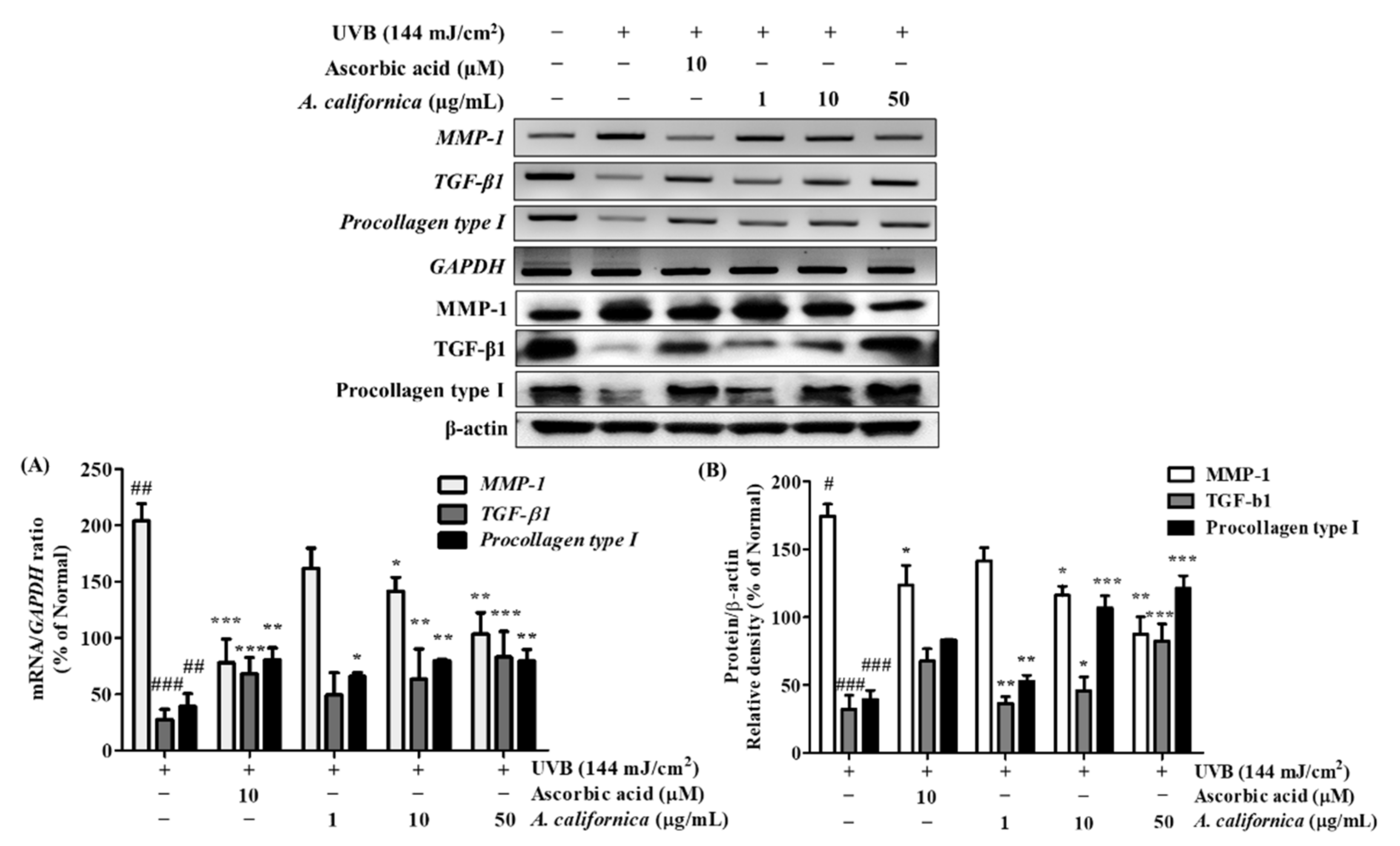 Antioxidants 10 01882 g006 Antioxidants 10 01882 g006