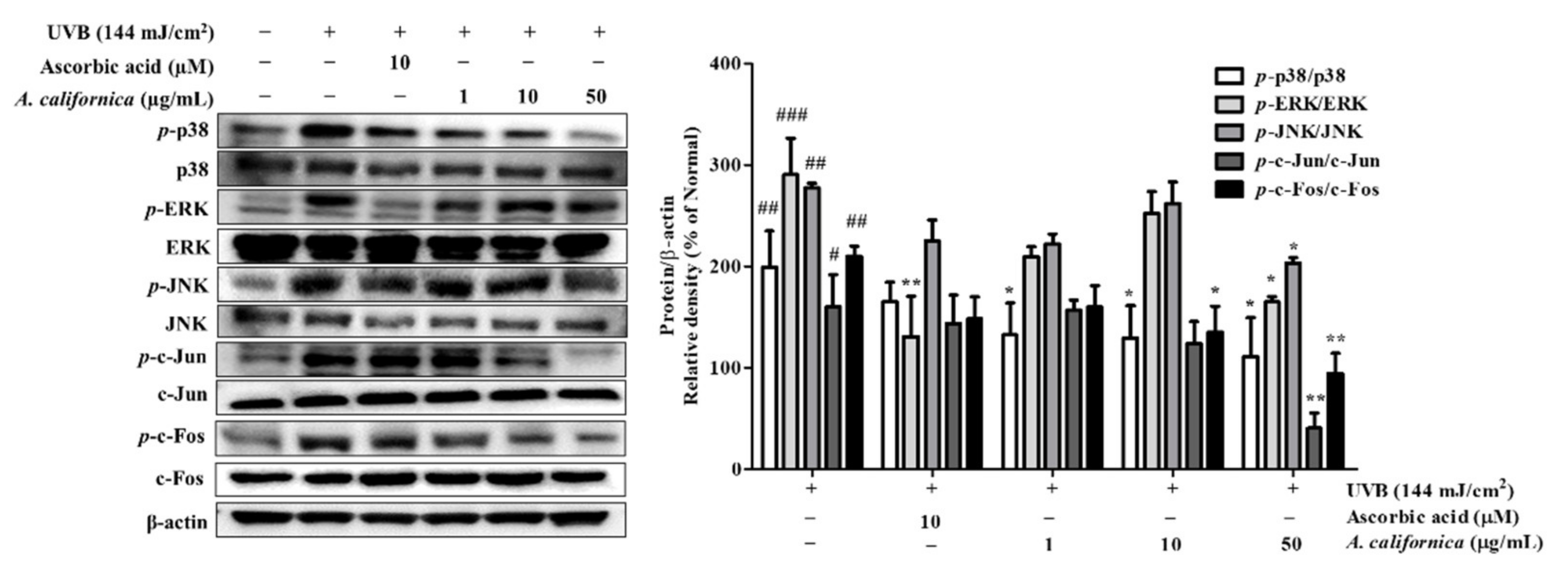 Antioxidants 10 01882 g007 Antioxidants 10 01882 g007