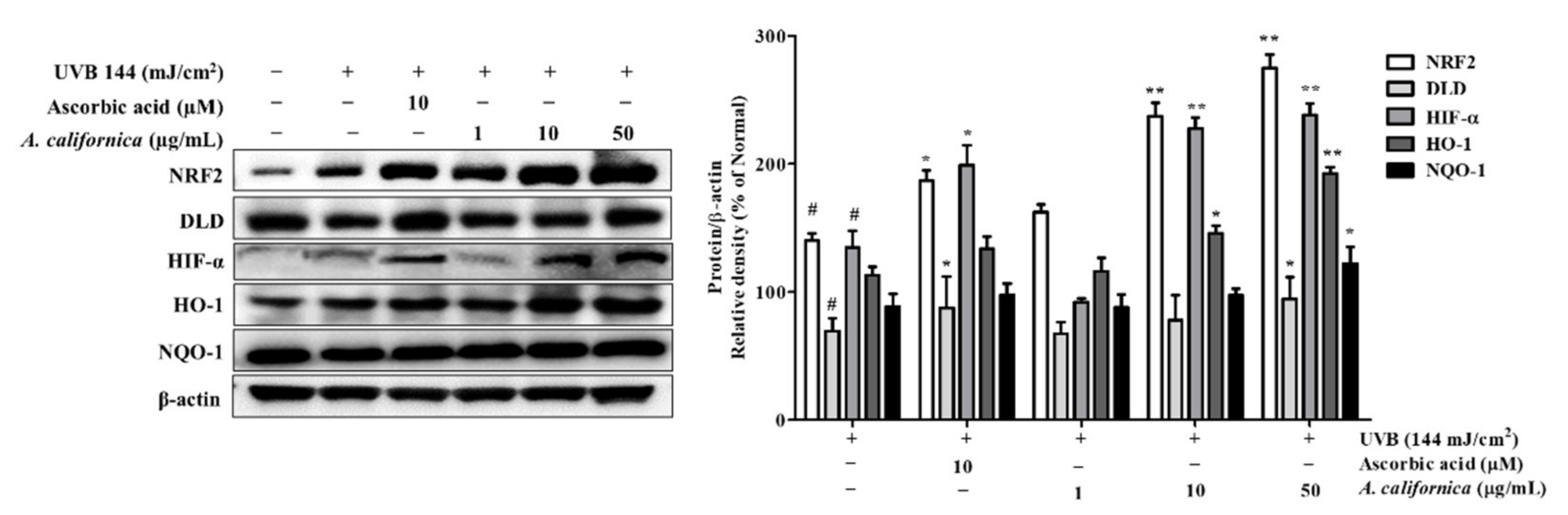 Antioxidants 10 01882 g008 Antioxidants 10 01882 g008