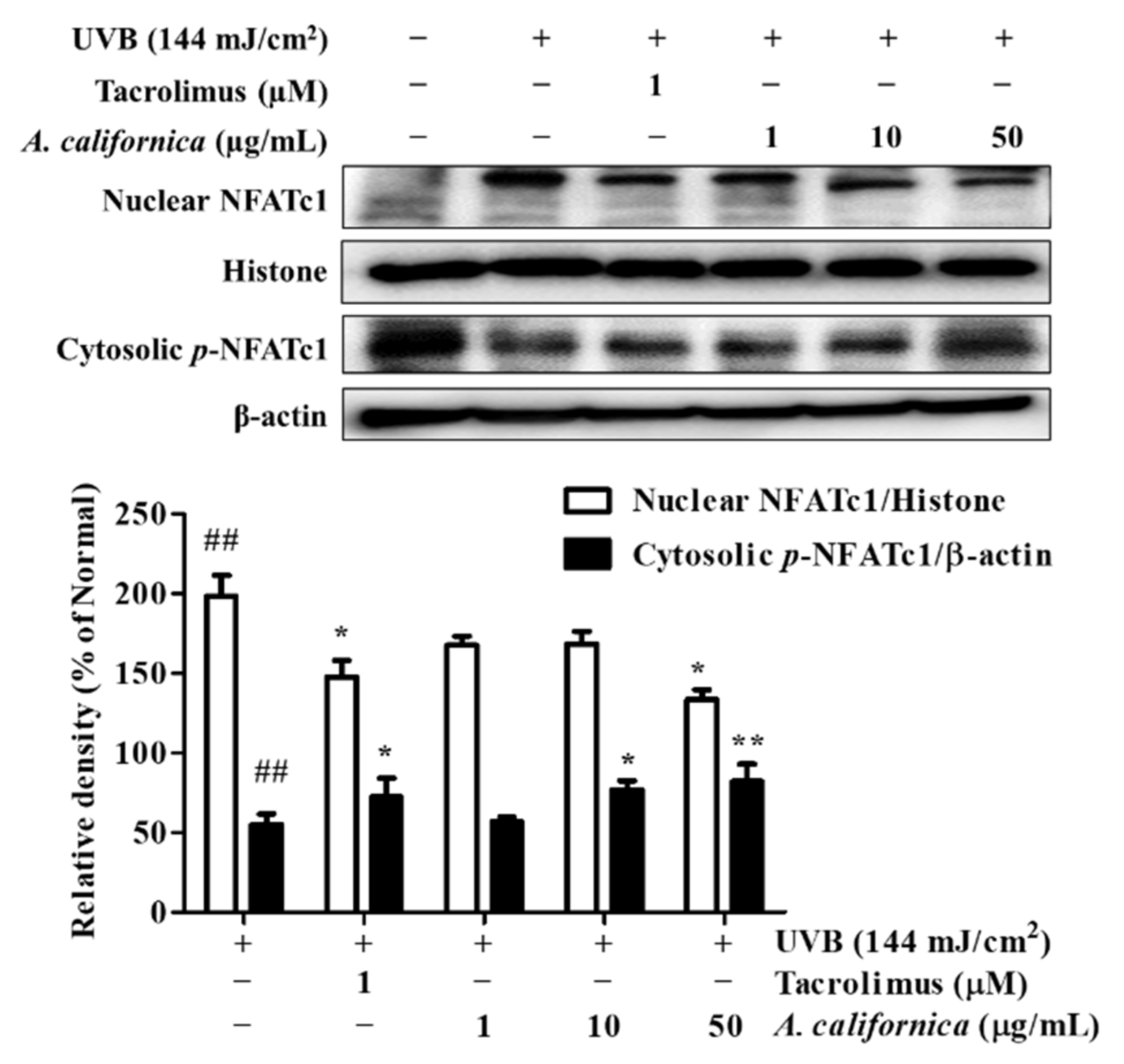 Antioxidants 10 01882 g009 Antioxidants 10 01882 g009