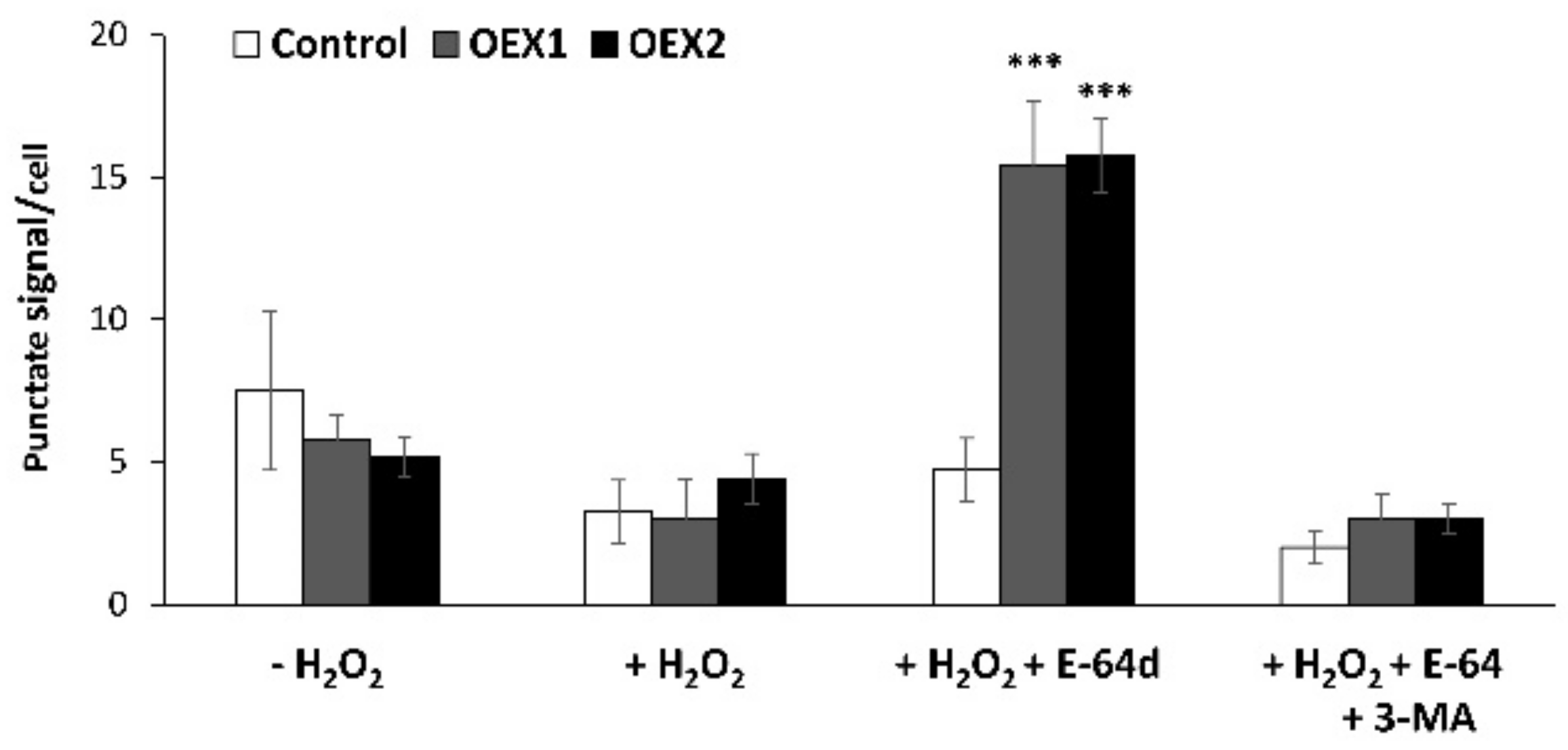 Antioxidants 10 01884 g007 550