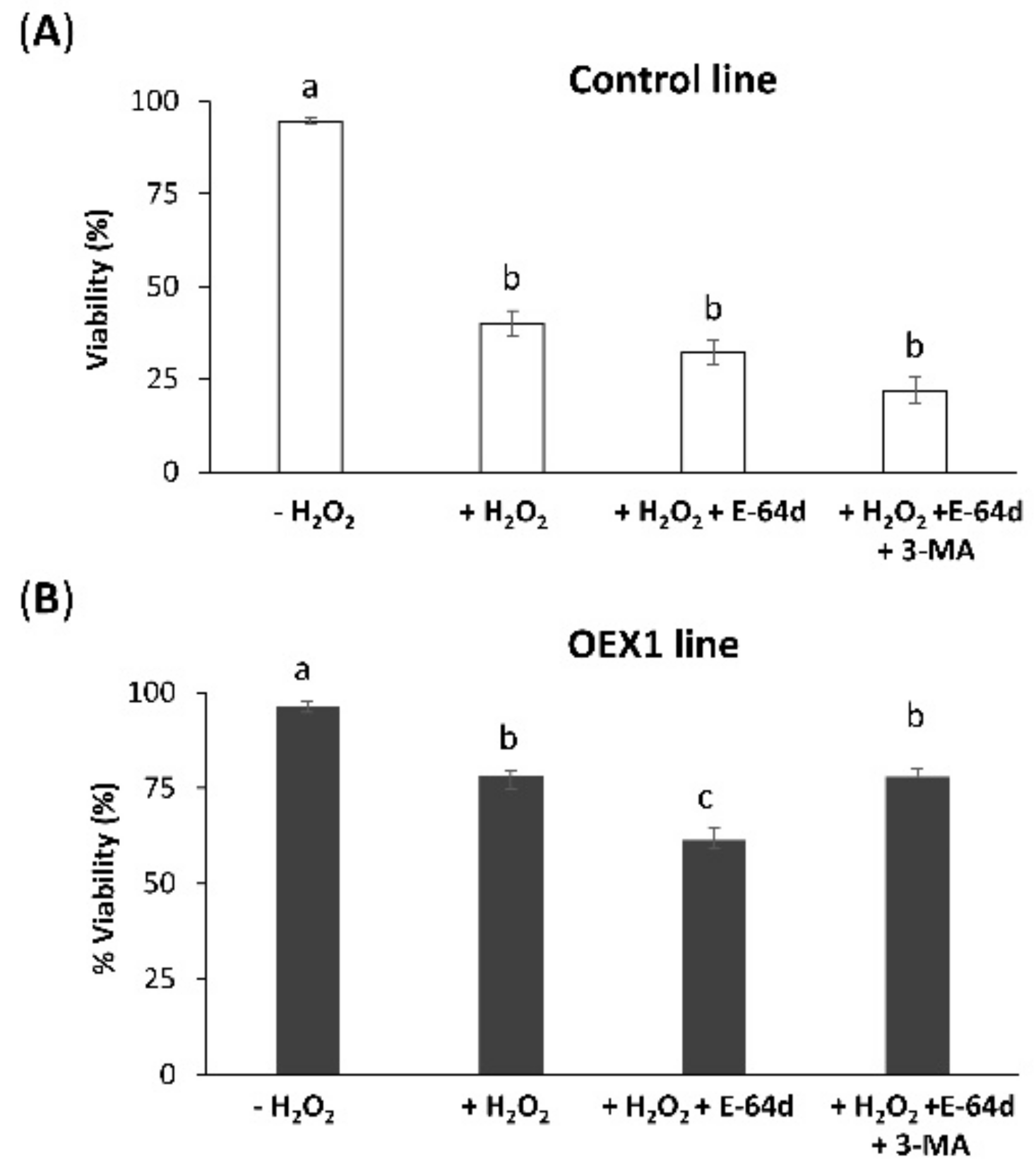 Antioxidants 10 01884 g008 550