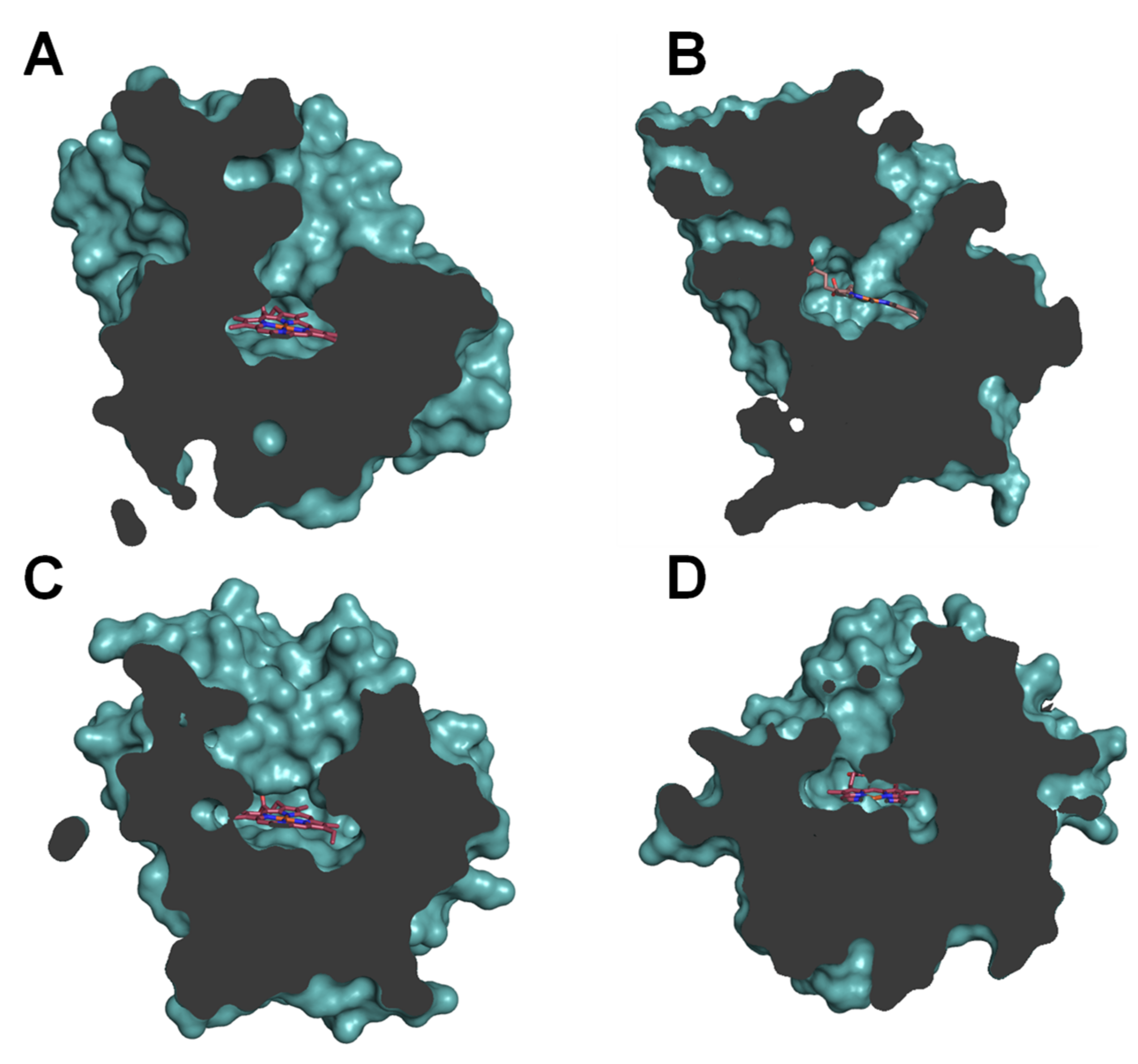 Antioxidants 10 01888 g005